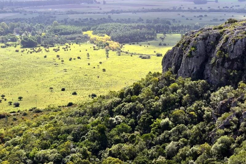 A landscape view of lush green fields with scattered trees, and a tall rocky hill with dense foliage on its slope.