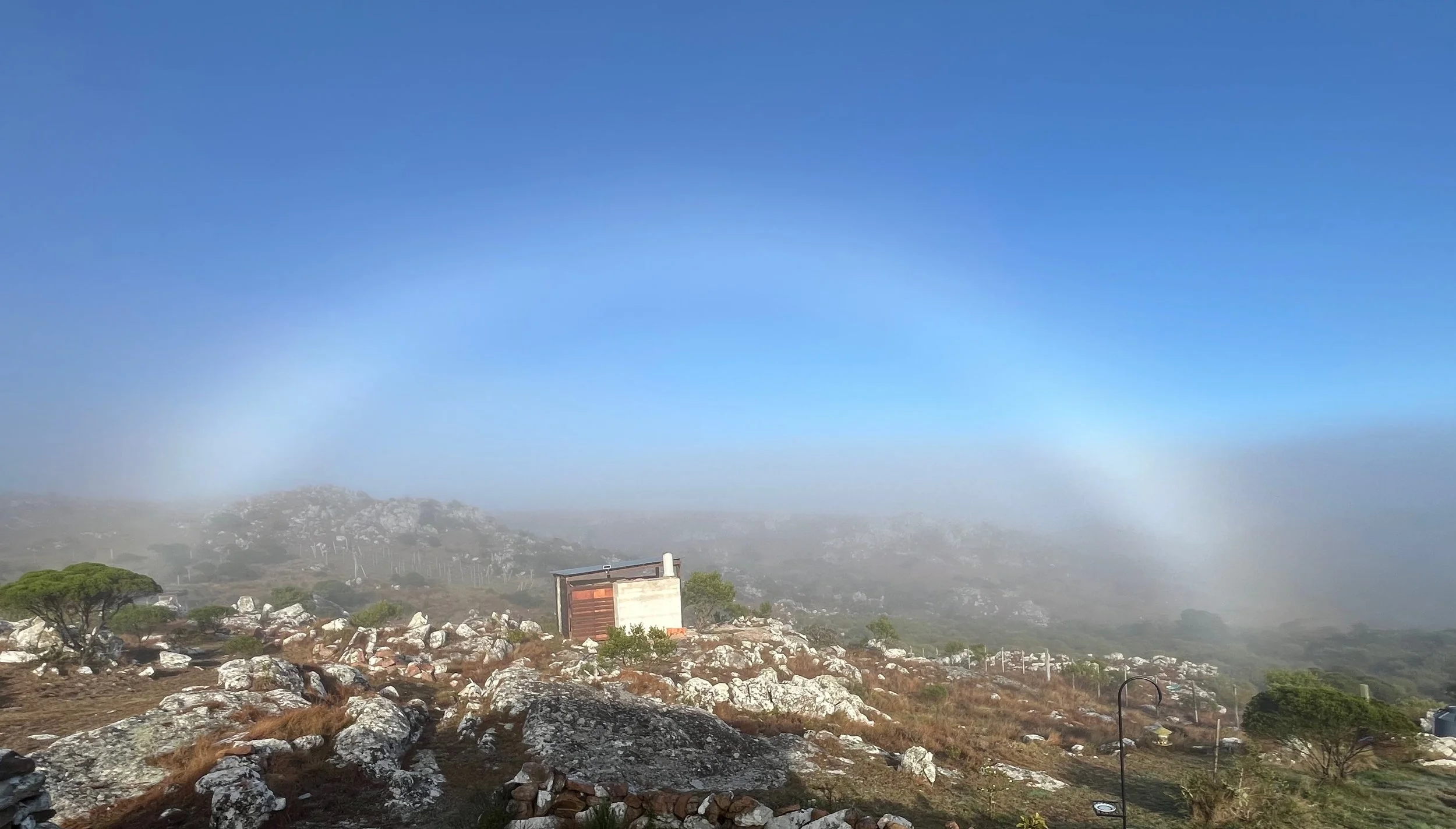 Mountains with rocks and sparse trees under a blue sky with fog in the background.