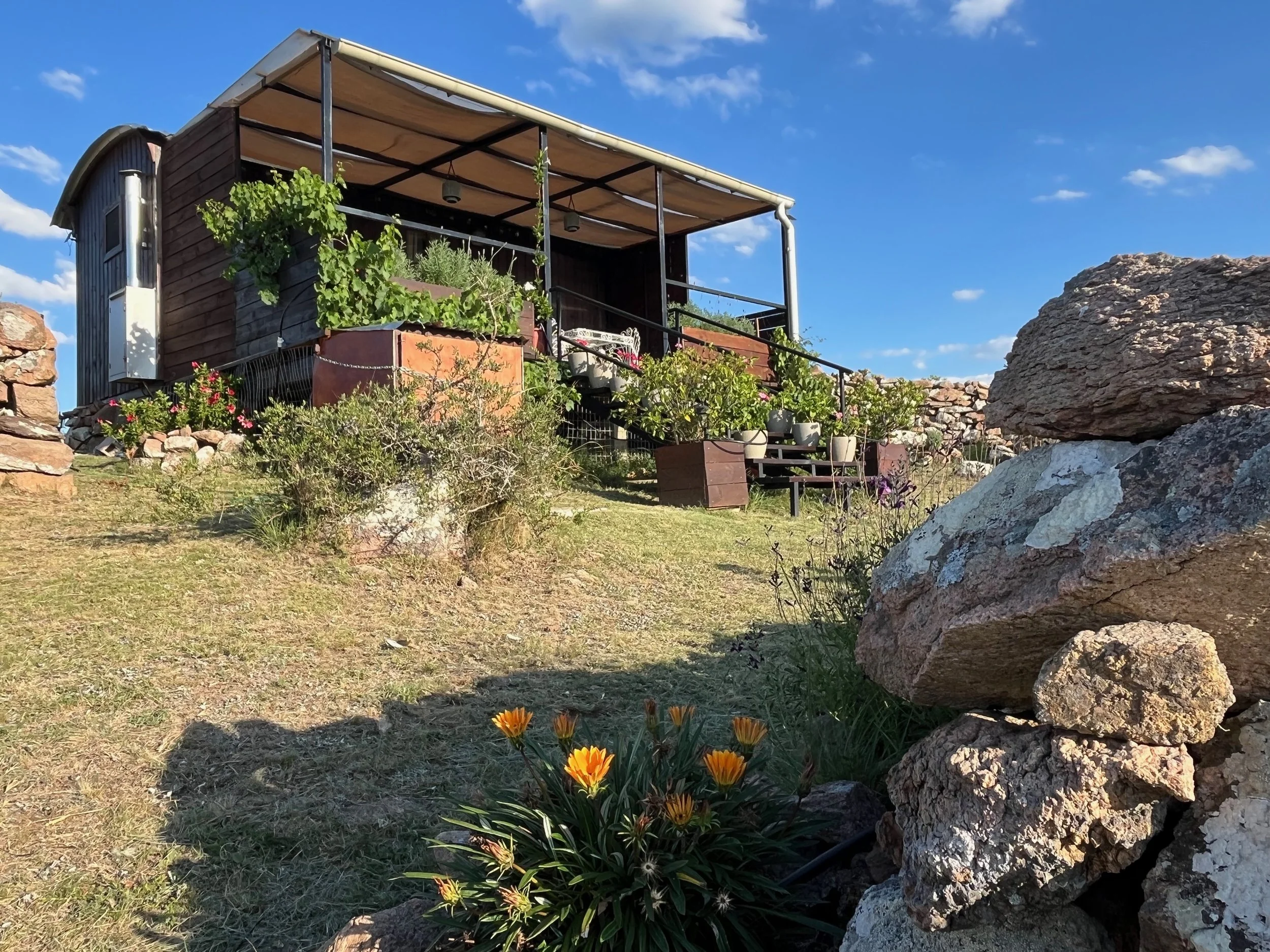 A small elevated house with a porch, surrounded by plants and flowers, under a partly cloudy sky.