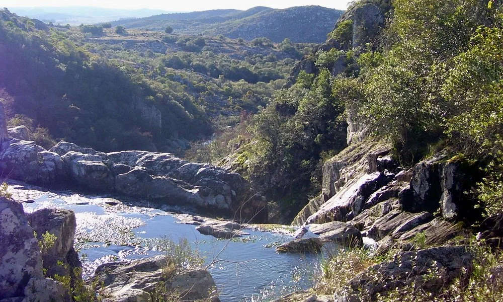 A rocky river flowing through a lush green canyon with trees on either side and hills in the background.
