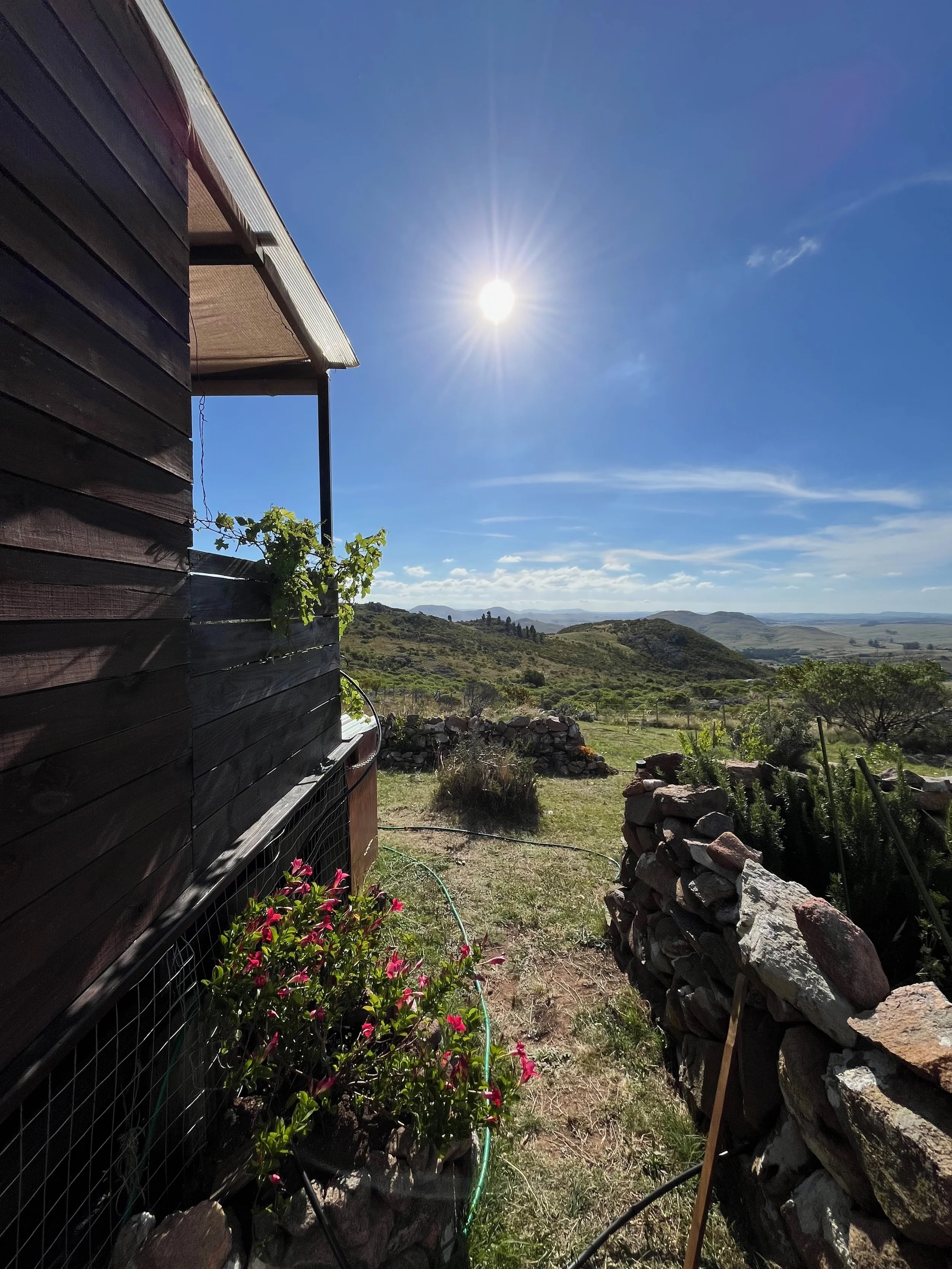 A scenic landscape with rolling hills under a clear blue sky, taken from beside a dark wooden building with a garden of pink flowers, a stone wall, and a bright sun shining.