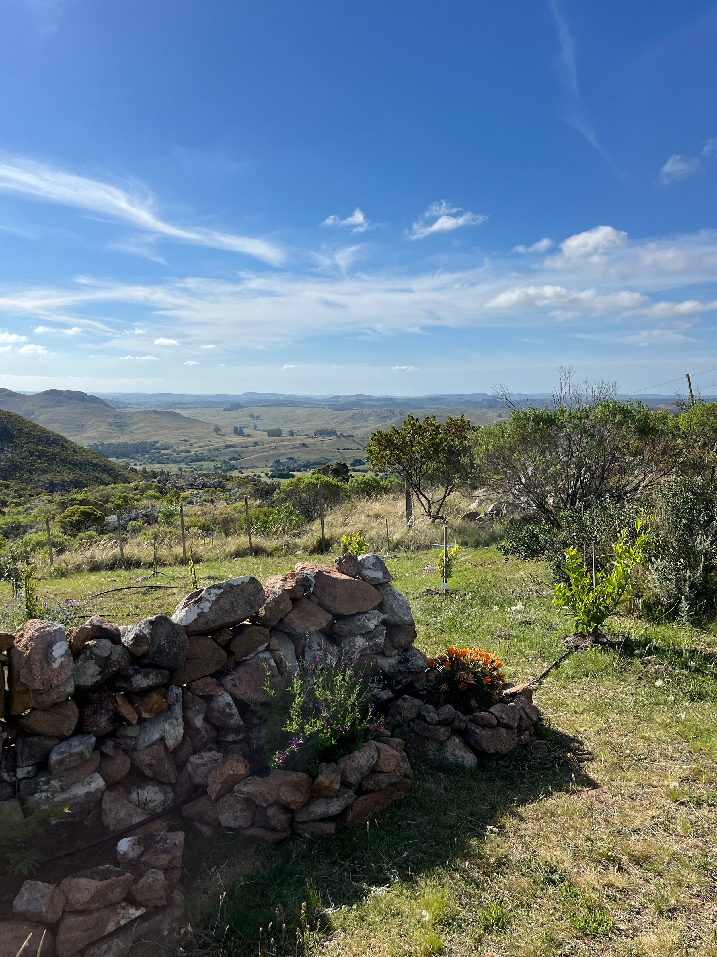 A scenic landscape with rolling hills, green vegetation, and a partly cloudy blue sky, featuring a stone wall in the foreground with small plants and flowers growing around it.