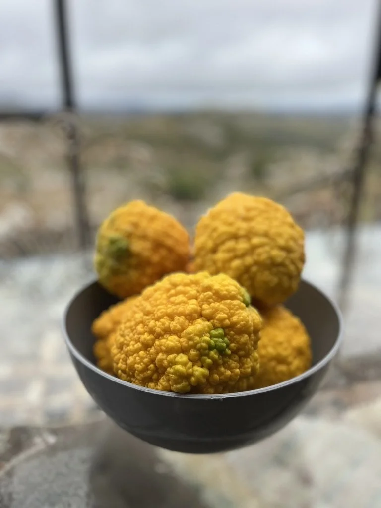 Close-up of yellow, bumpy citrus fruits in a black bowl with a blurred outdoor background.
