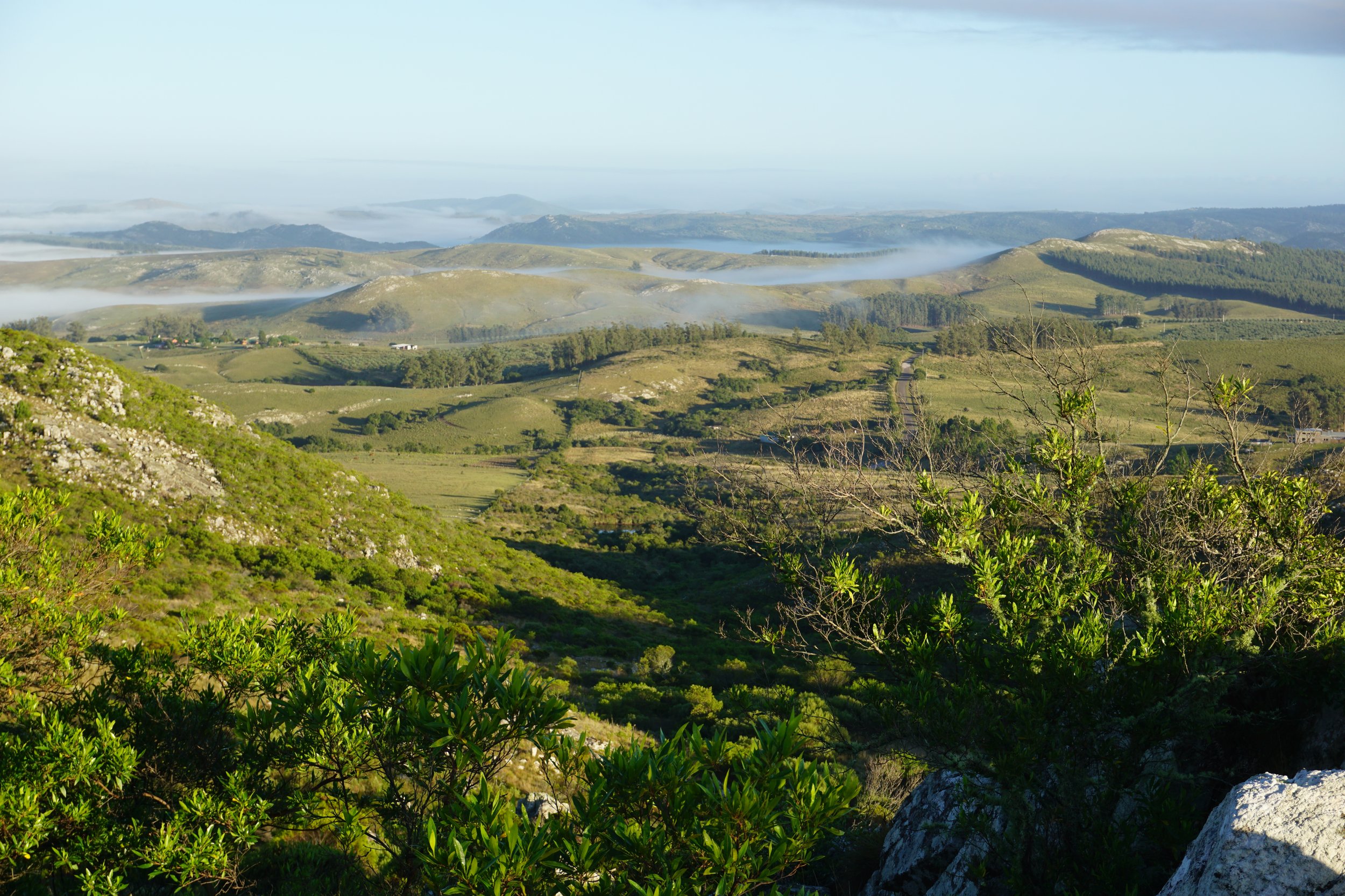 Scenic view of rolling green hills and valleys with low-hanging clouds or fog and blue sky in the distance.