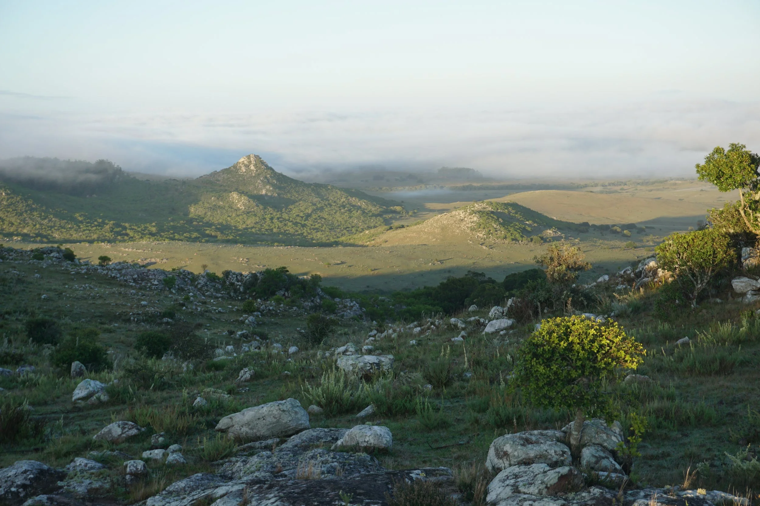 A scenic landscape with rolling hills, rocky terrain, sparse trees, and a mountain in the background under a partly cloudy sky.