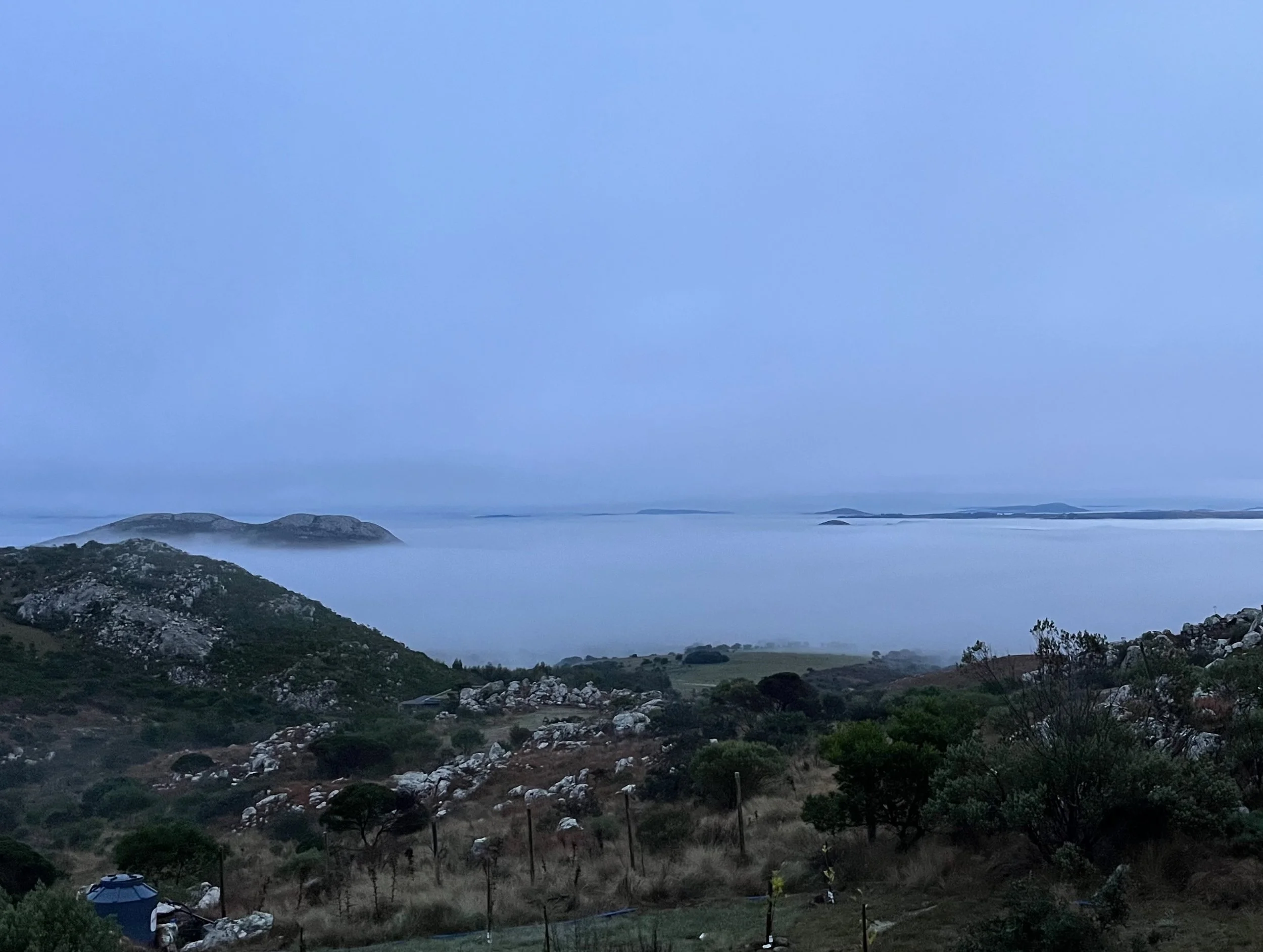 Landscape view of a rugged hillside with scattered bushes and rocks, leading to a body of water with floating fog or mist, and distant islands or landforms under a cloudy sky.