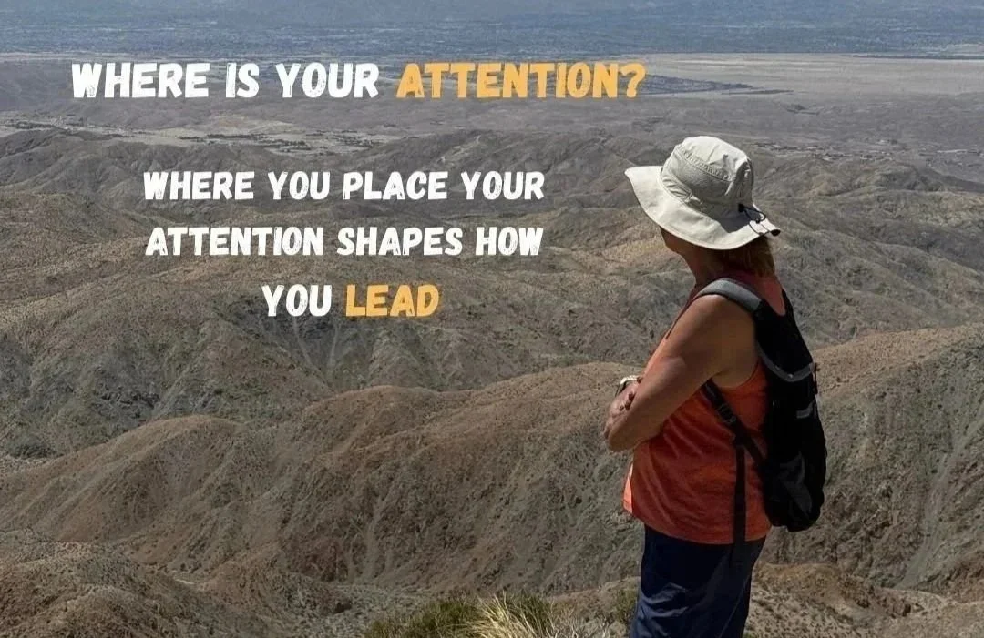 WHERE IS YOUR ATTENTION?