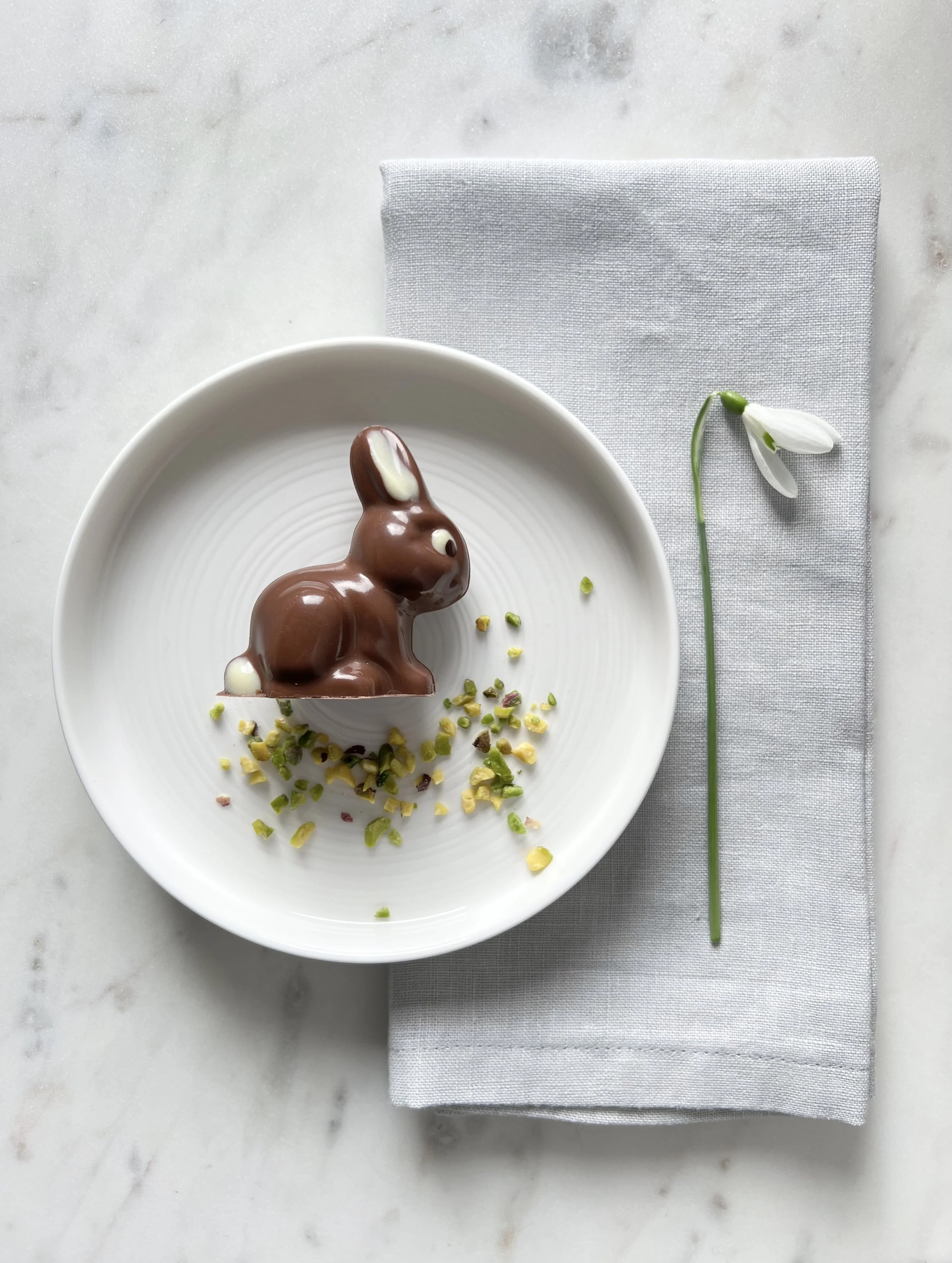 xocomia schokoladen hase