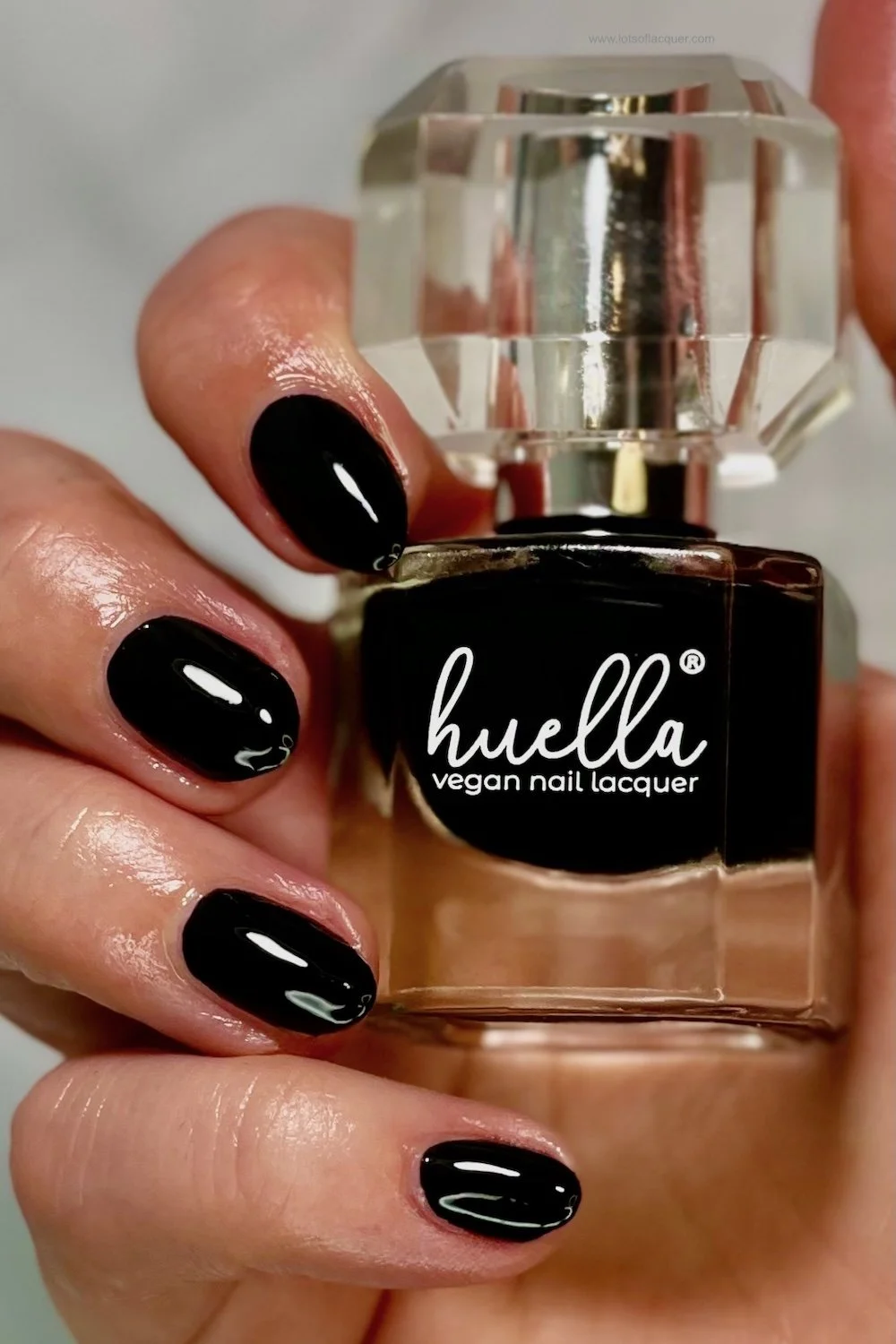 Brand Ambassador for Huella Beauty Black Book swatch