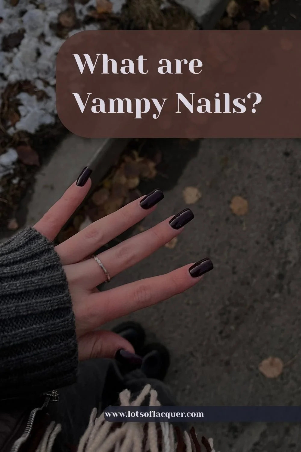 Photo of dark manicre by Polina on Pexels text overlay What Are Vampy Nails?