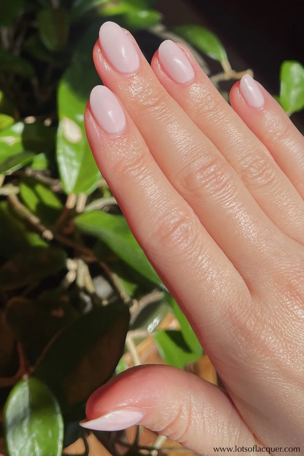 Gifted by Beyond Polish - OPI’m a Bubble Bunny swatch