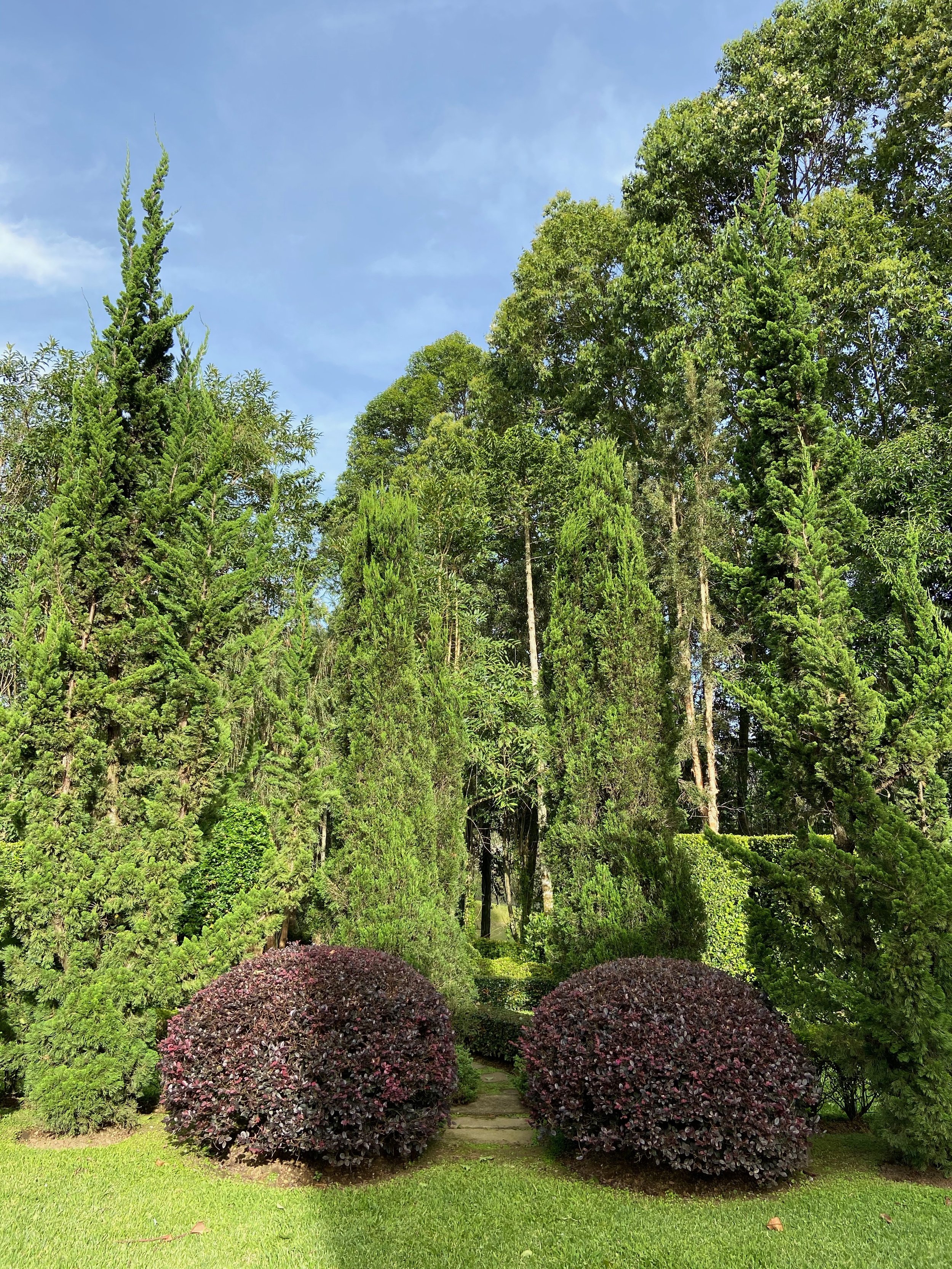 IMG_2278.jpeg