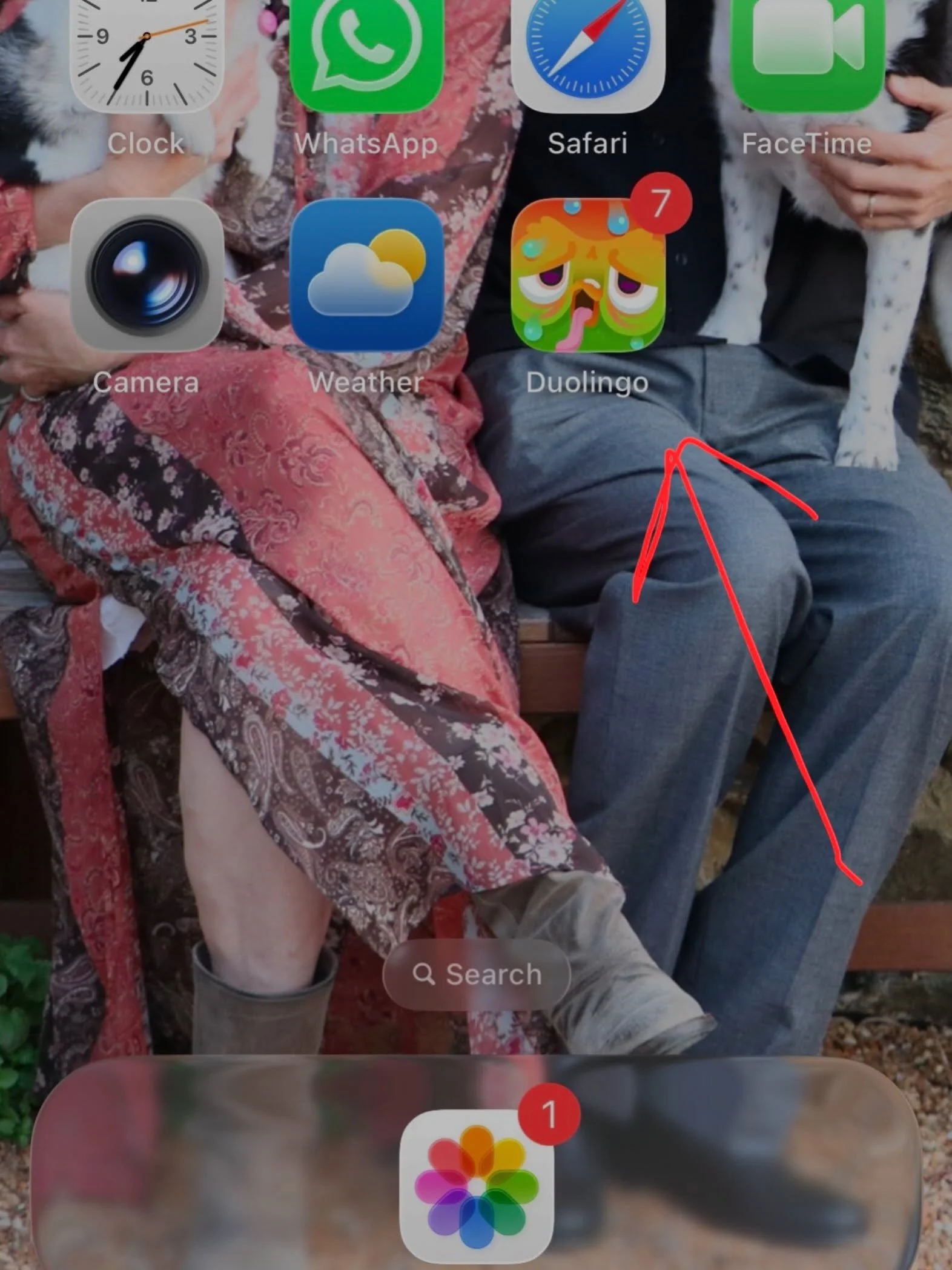 When an icon on your phone gives you the same look your high school Spanish teacher used to. Who knew guilt could come in the cutest little owl icon?! Lo siento, Duo. I&rsquo;ll try harder. #learning