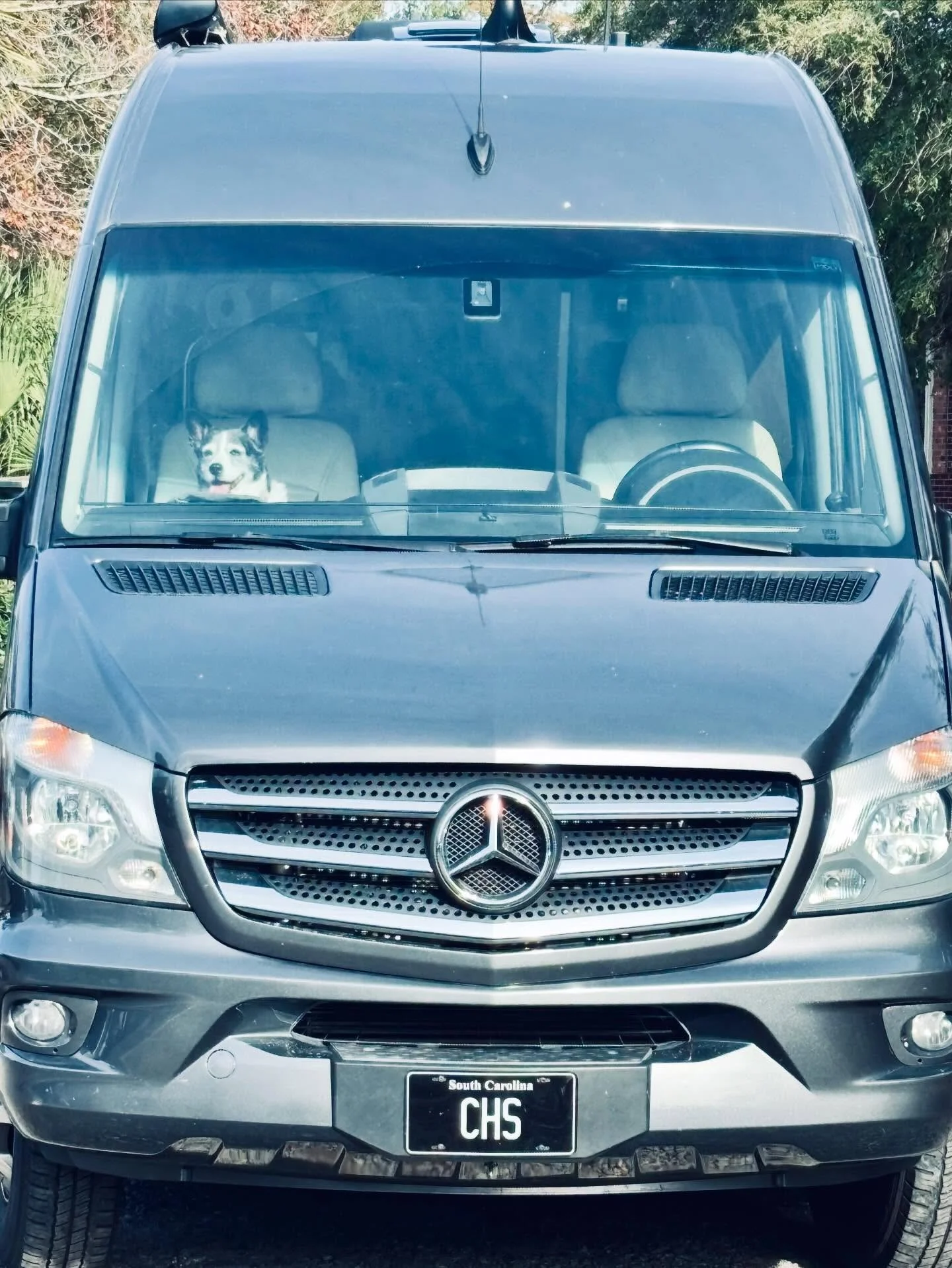 Front view of a silver Mercedes-Benz van with a South Carolina license plate reading 'CHS.' A happy Husky dog is sitting in the driver's seat behind the windshield.