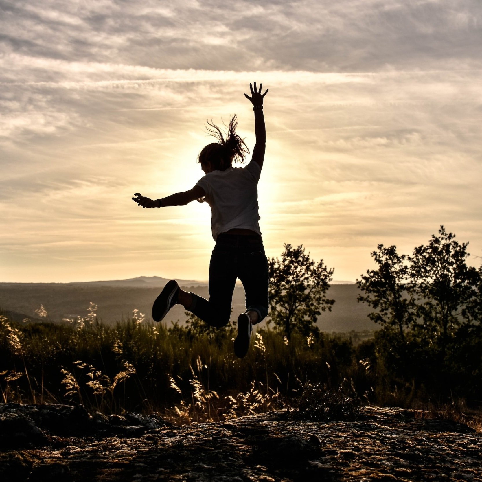 Fuerza de voluntad y motivación: La energía de tu transformación