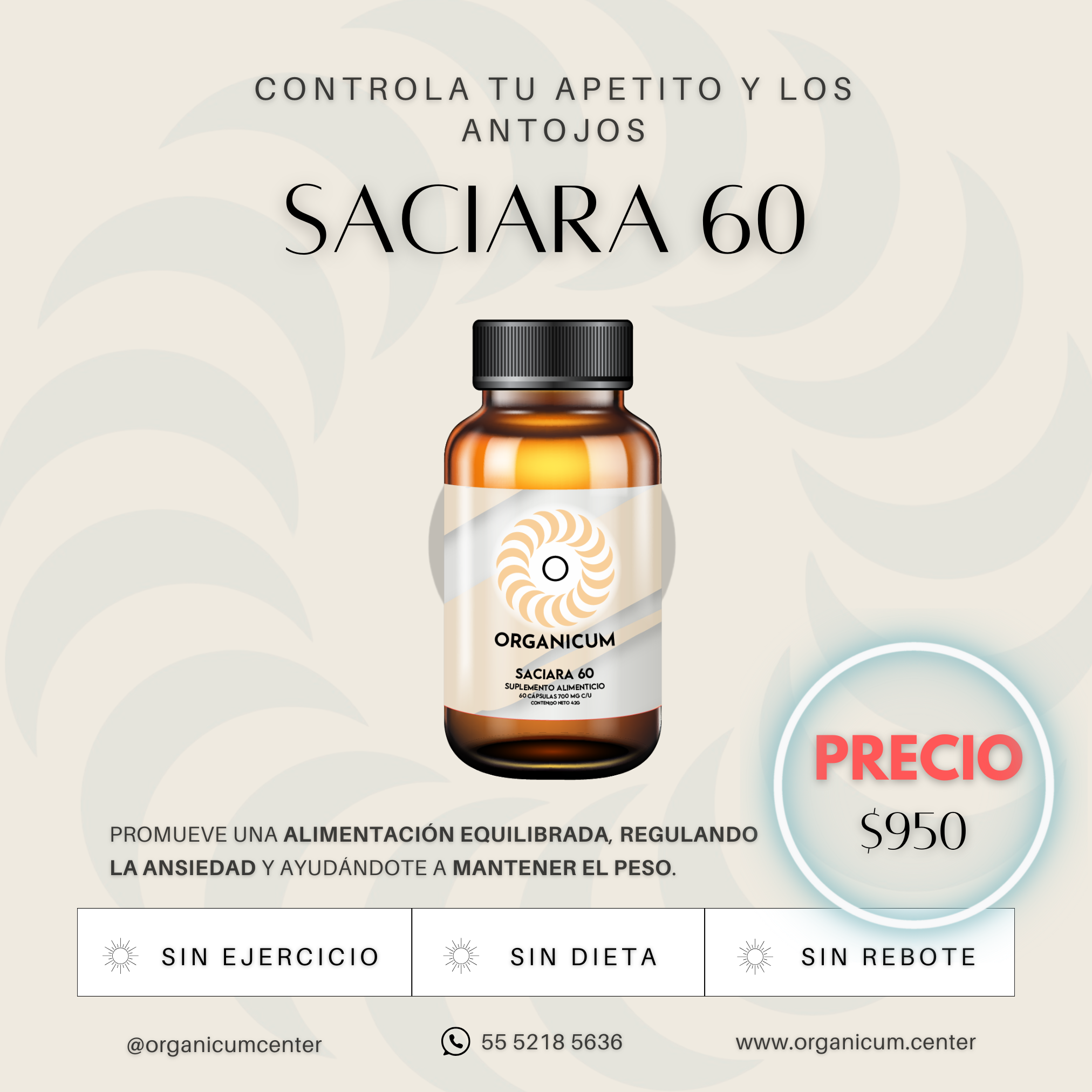 Saciara 60
