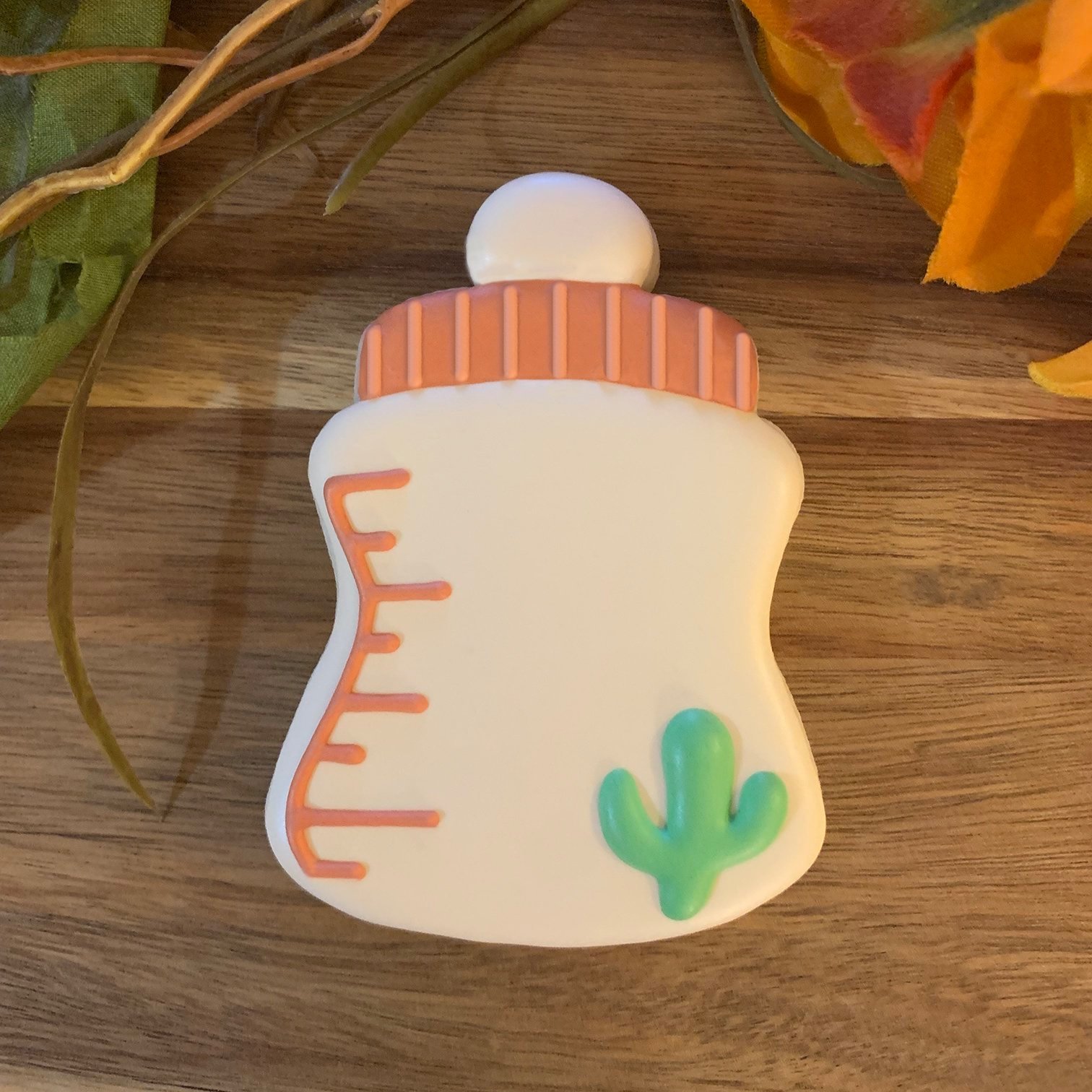 Cactus+Set+Baby+Bottle.jpg