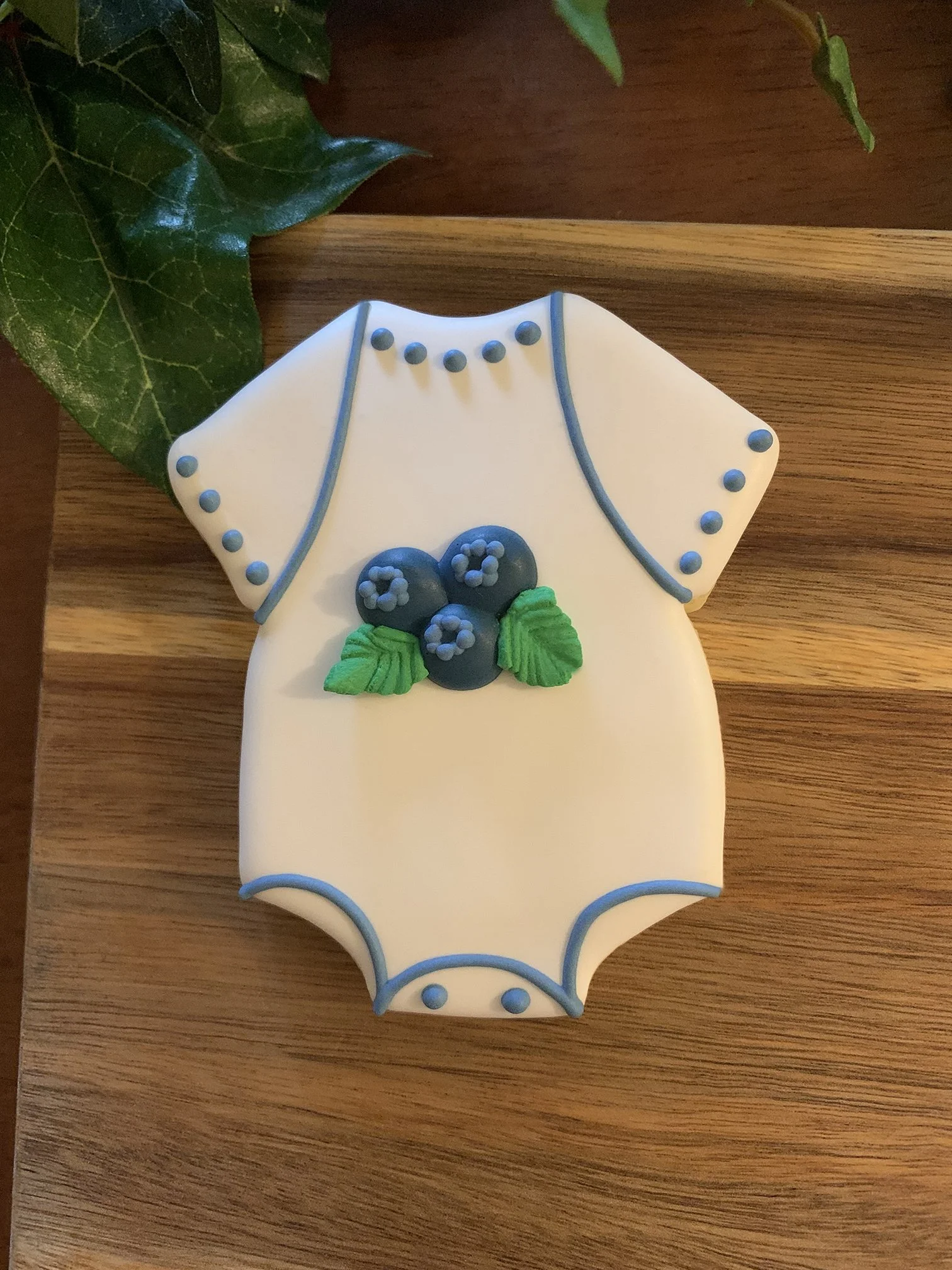 Blueberry Onesie.jpg