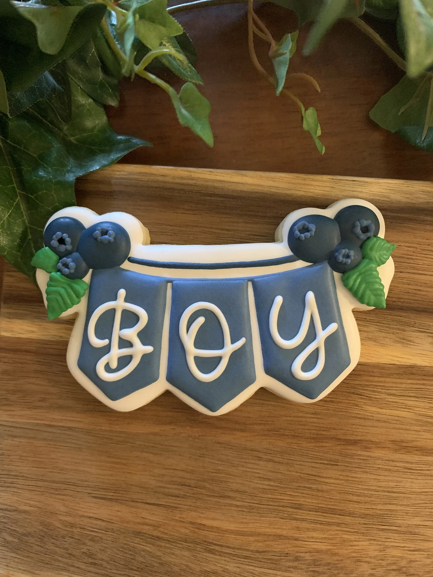 Blueberry Boy Banner.jpg