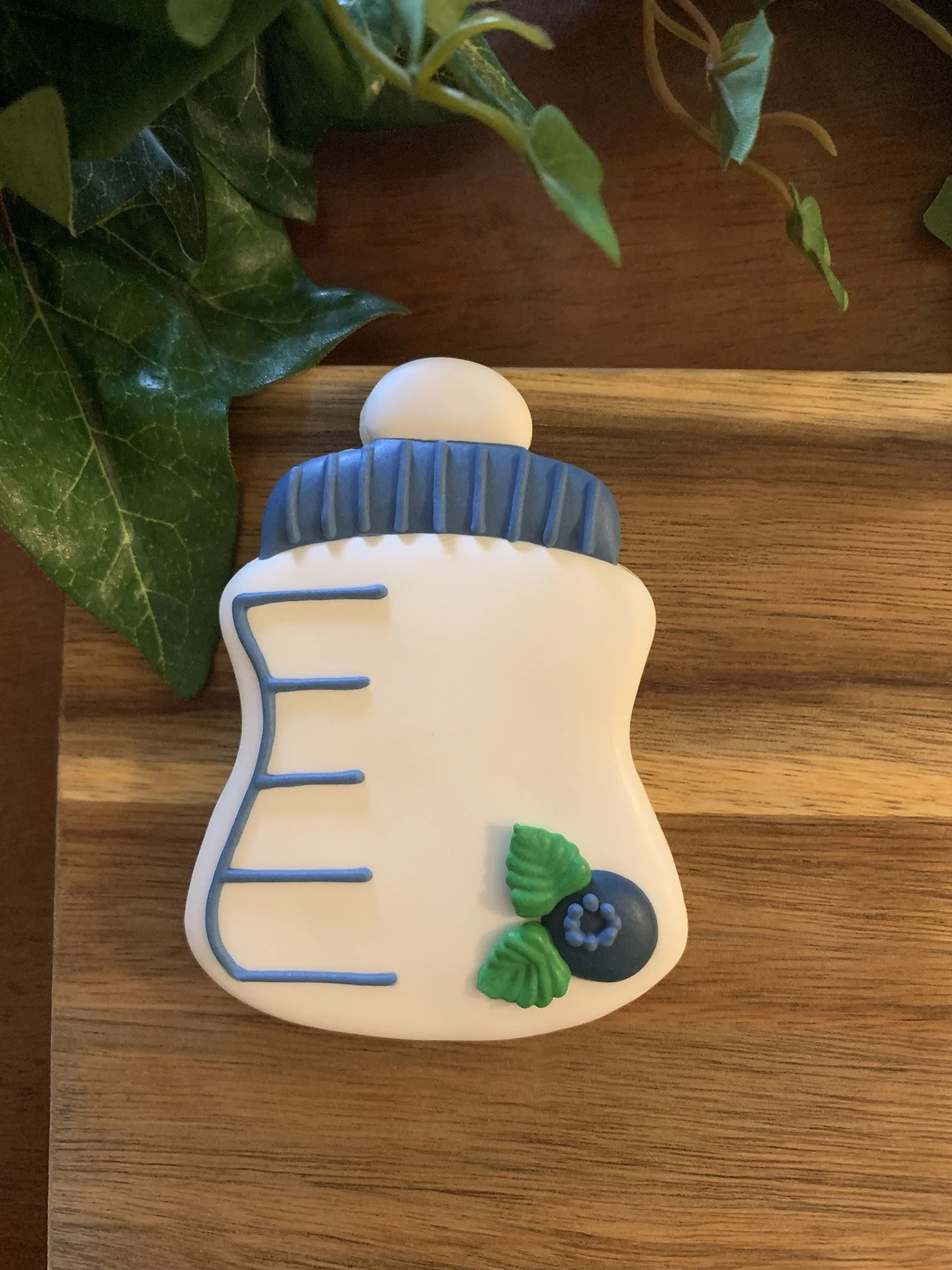 Blueberry Baby Bottle.jpg