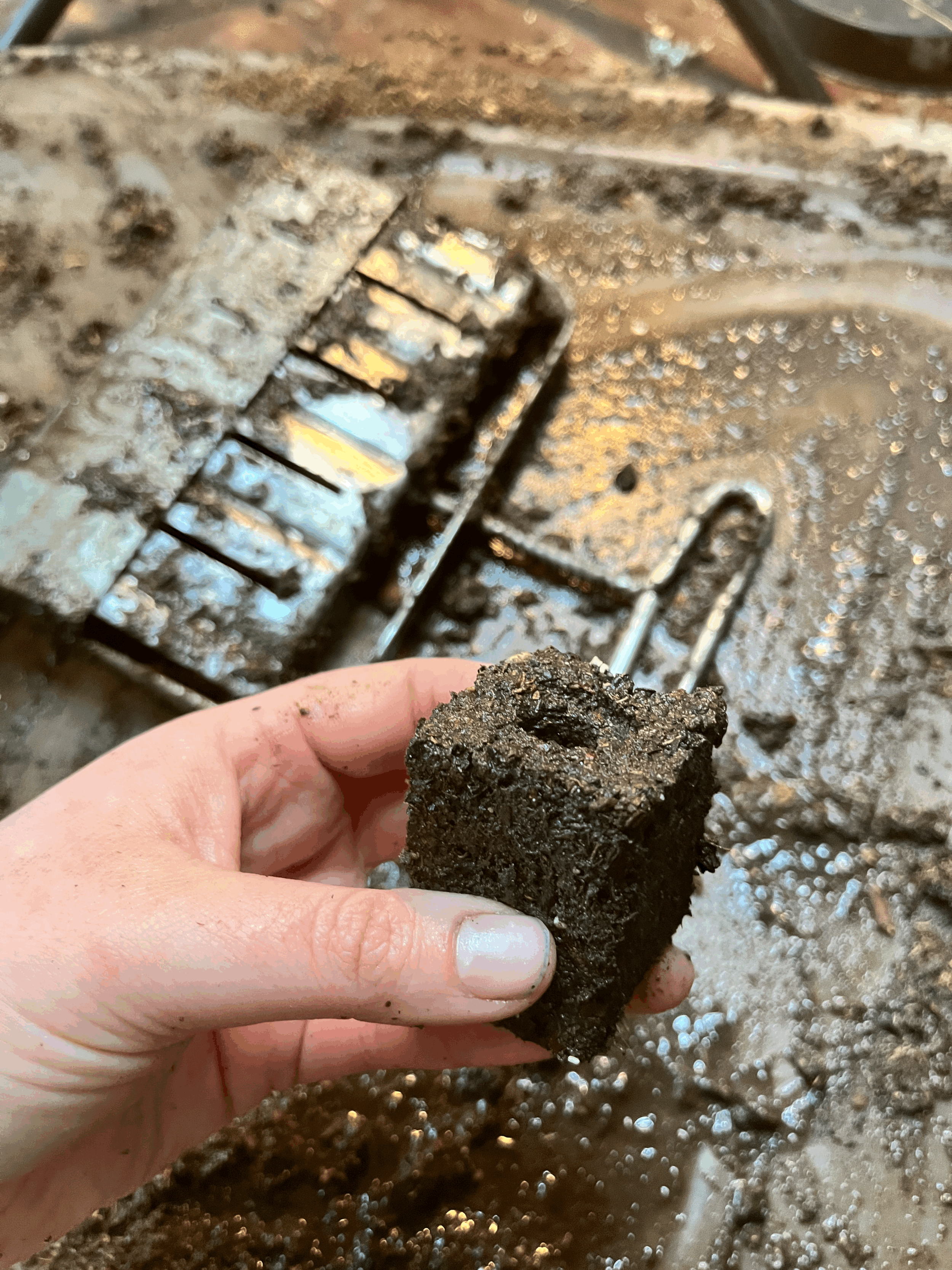 The Dirt on Our Dirt.