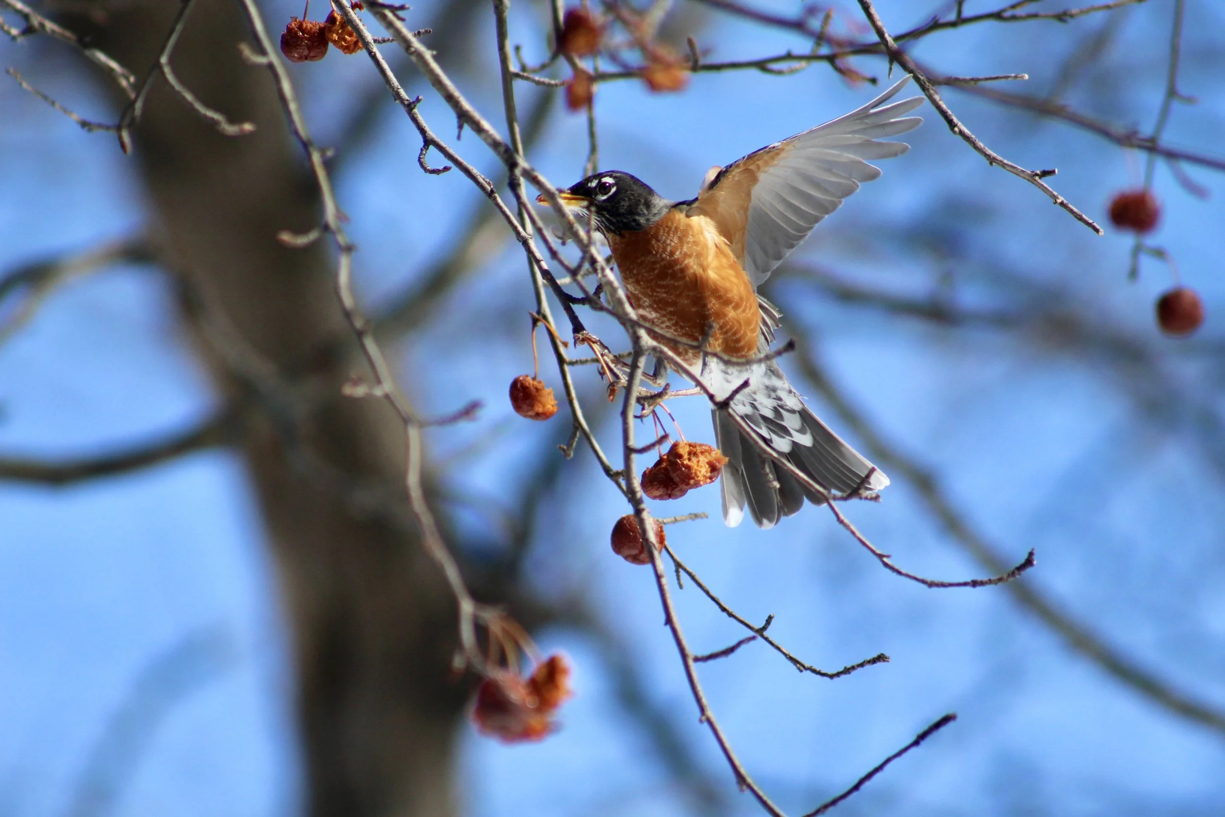 Making Time for the Extras.