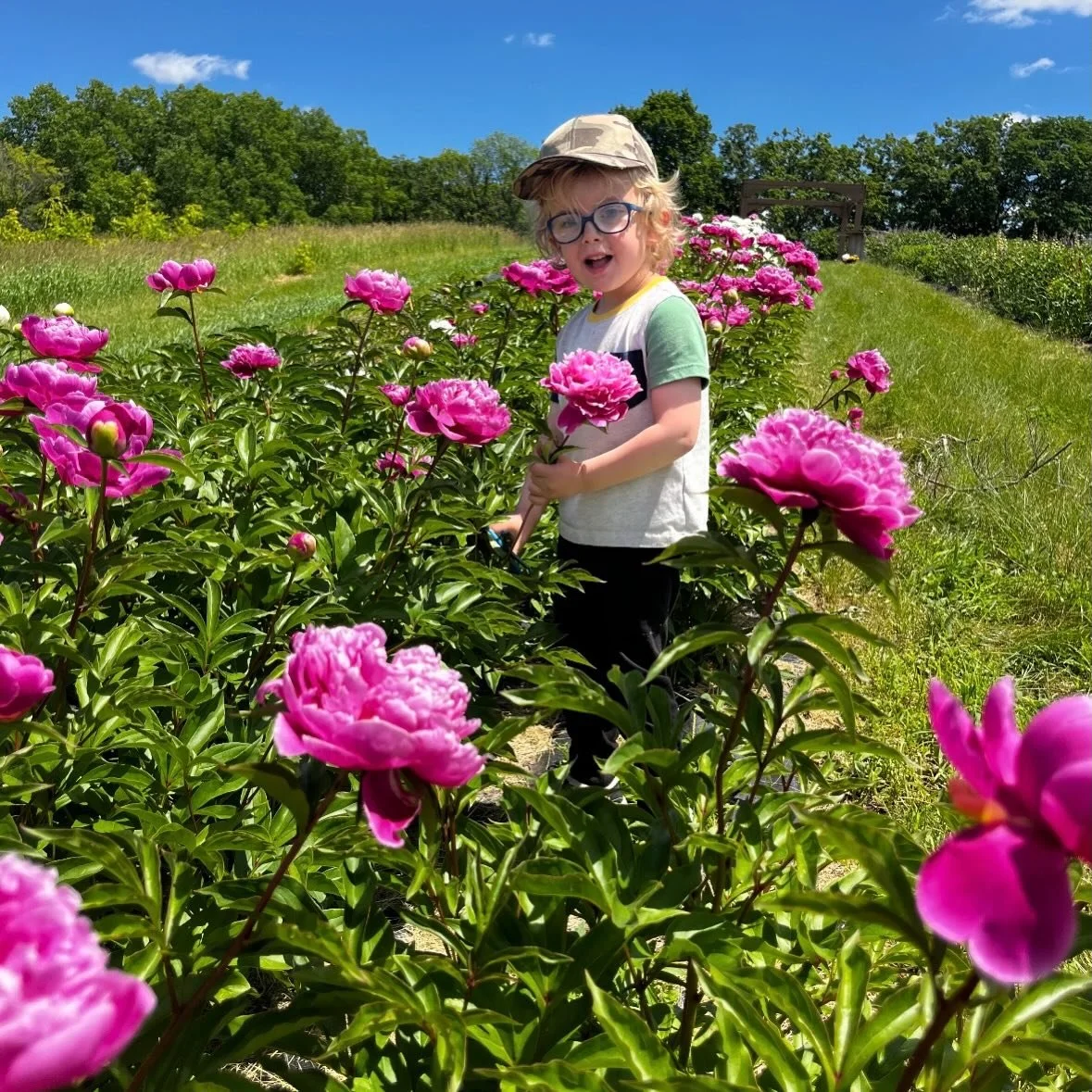Tuesday June 16th 2026! The peonies are at their PEAK today! Check them out this afternoon before tomorrow&rsquo;s wind and rain!
