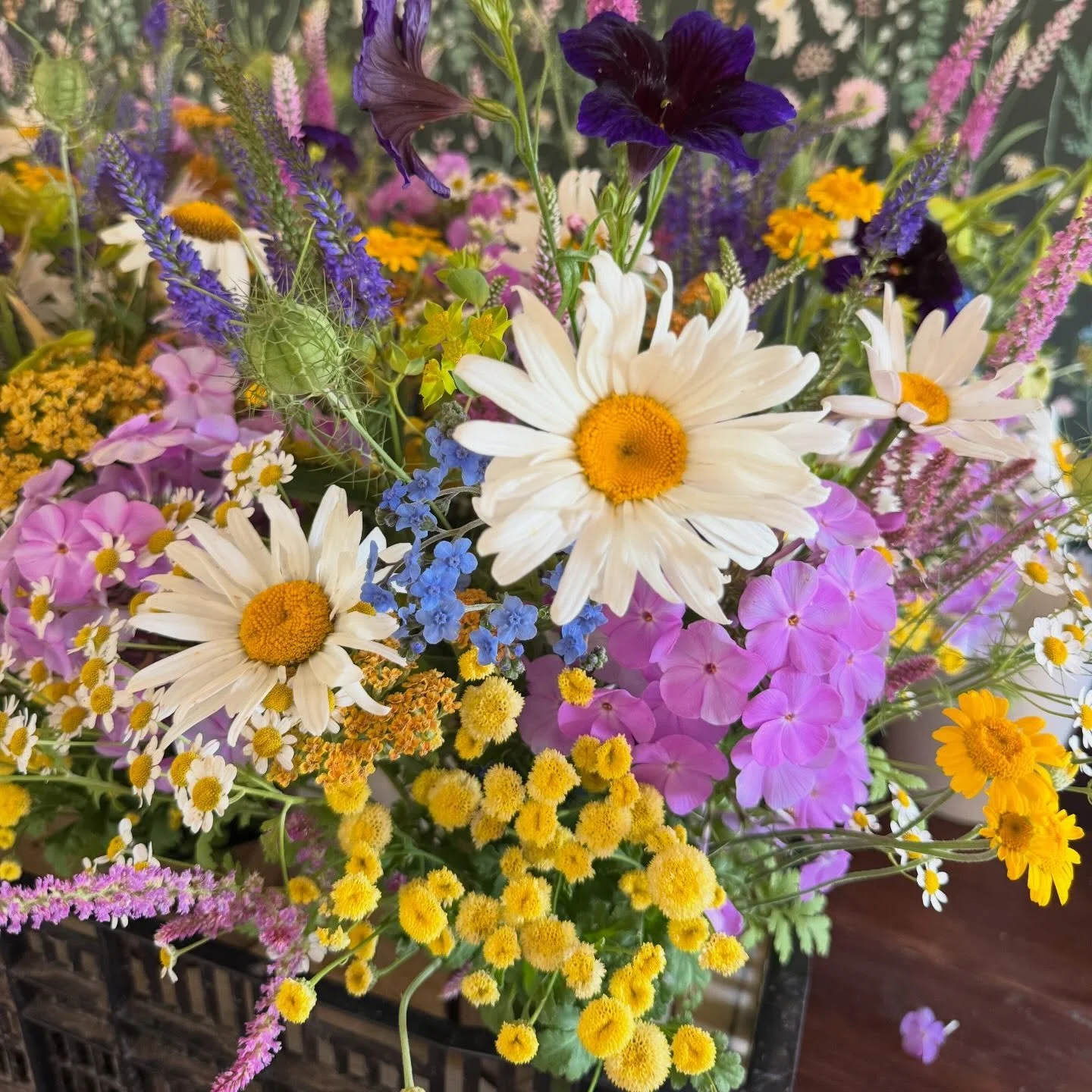 Hello Sunshine!! 

The bouquets coming off the field this week are about as cheery as they come! Stop by the farm stand or build your own this week.