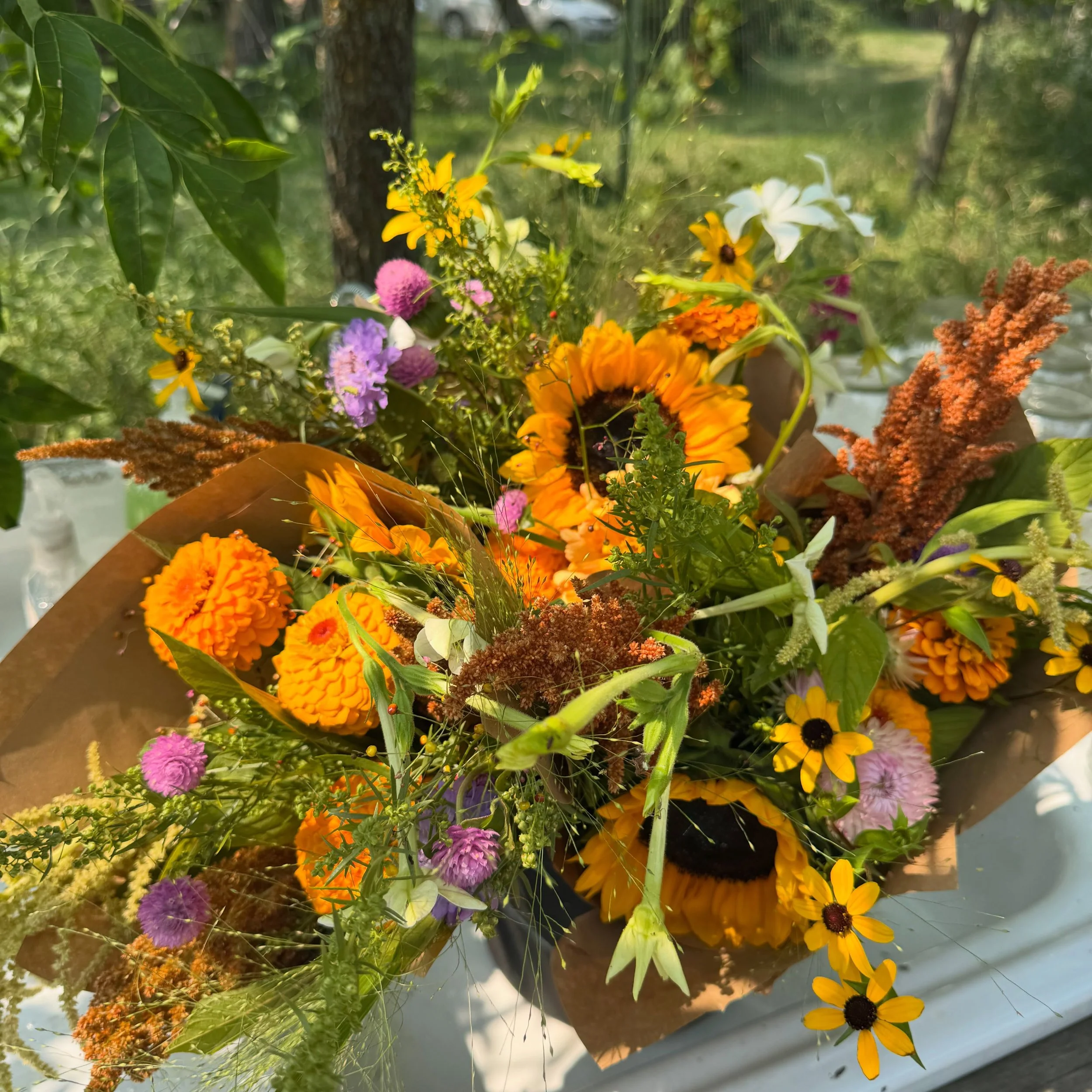 In the farmstand this week! 🌻