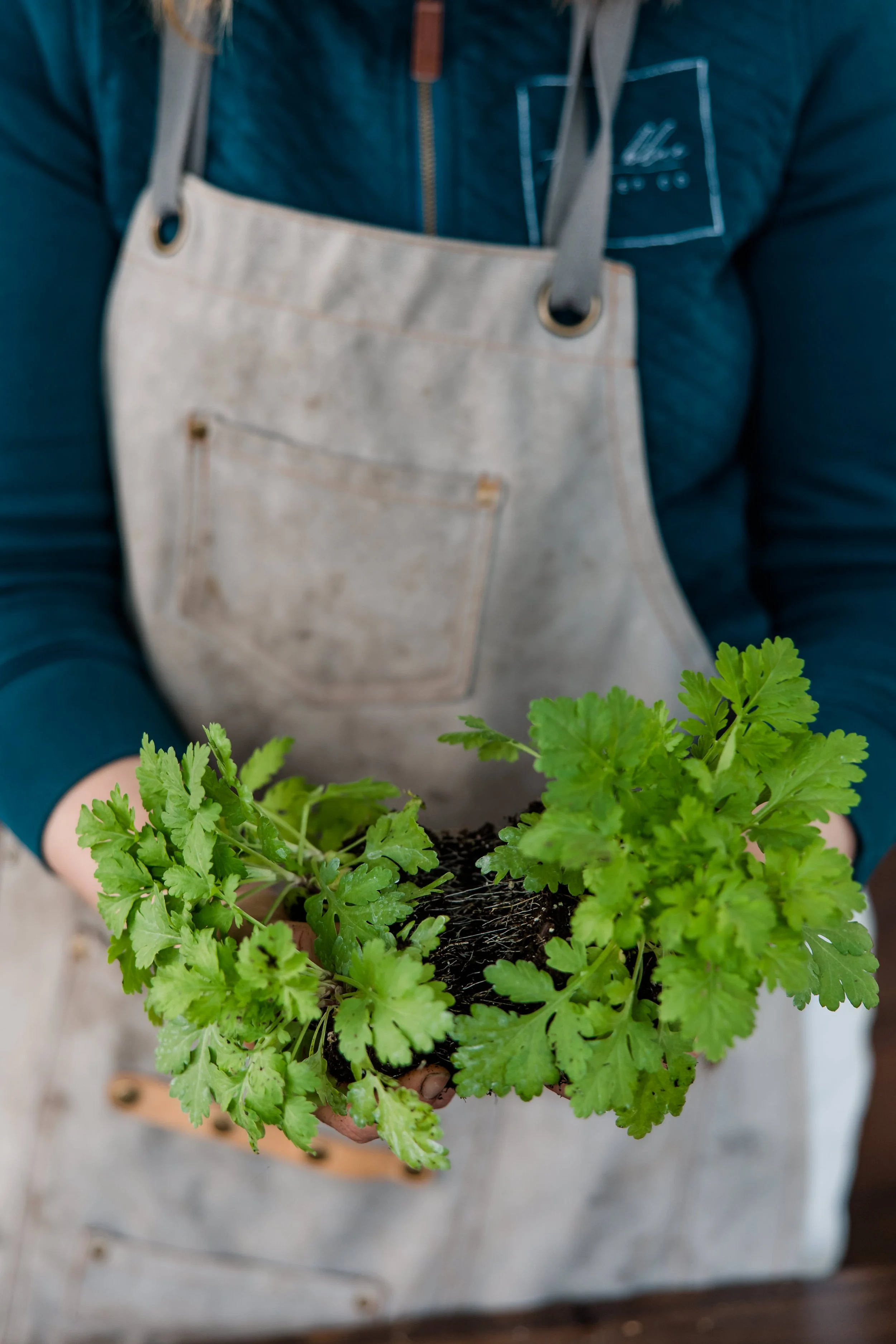 Amber Langerud Photography_True Blue Flower 04 22 2023-117.JPG