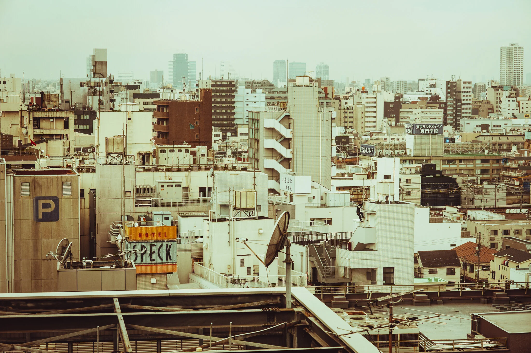 followthedottedline-1.jpg