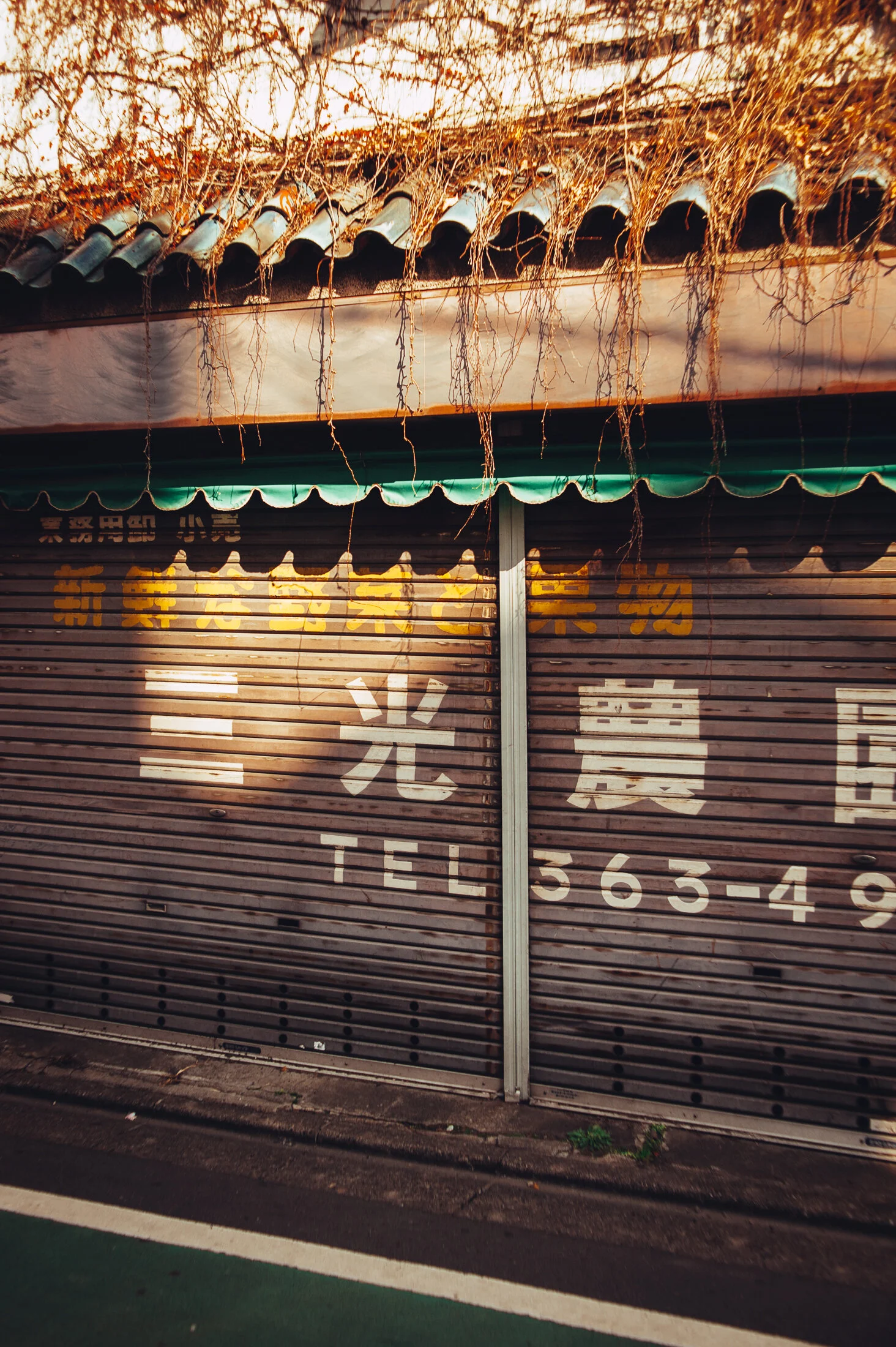 followthedottedline-8.jpg