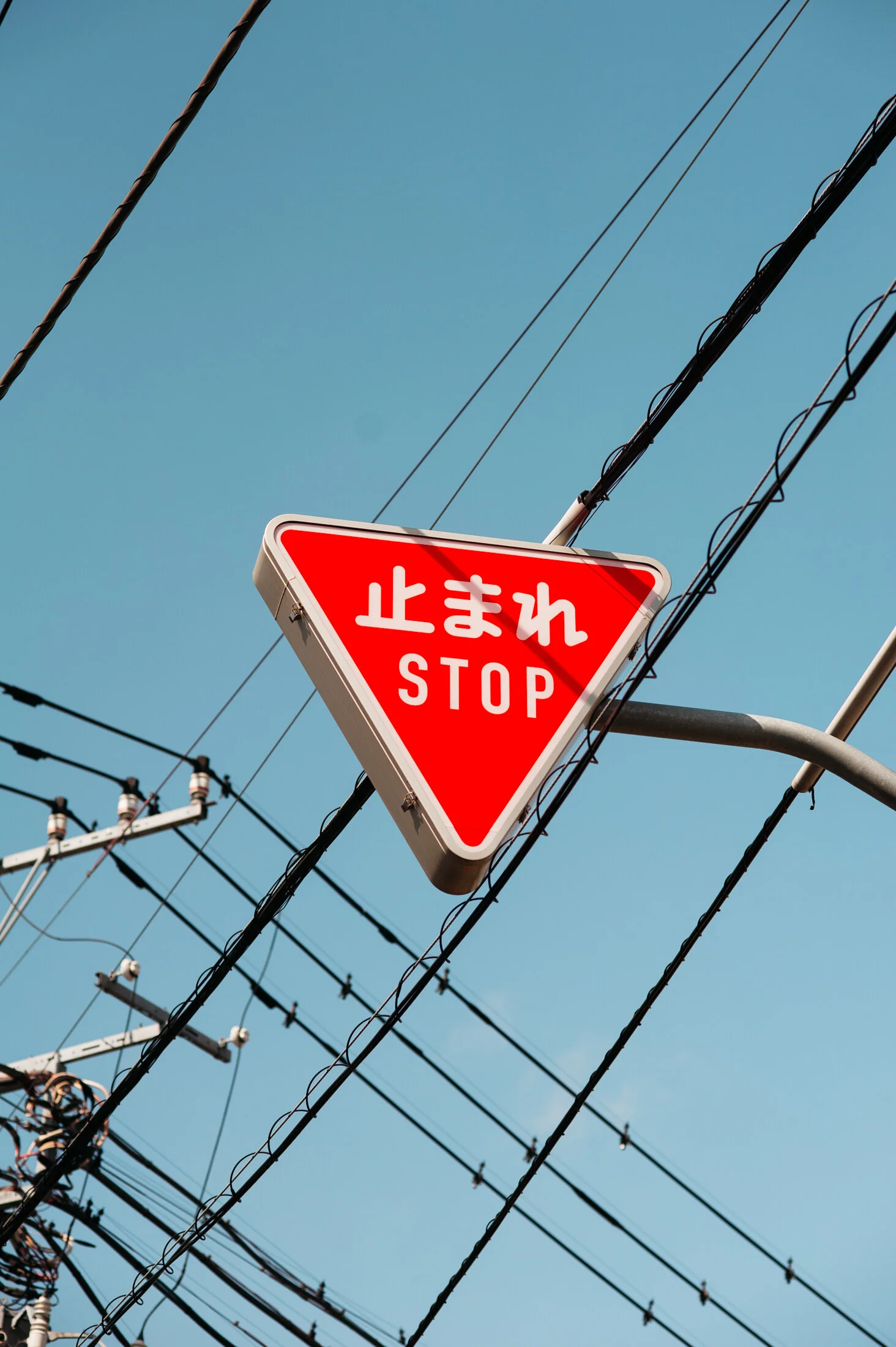 followthedottedline-41.jpg