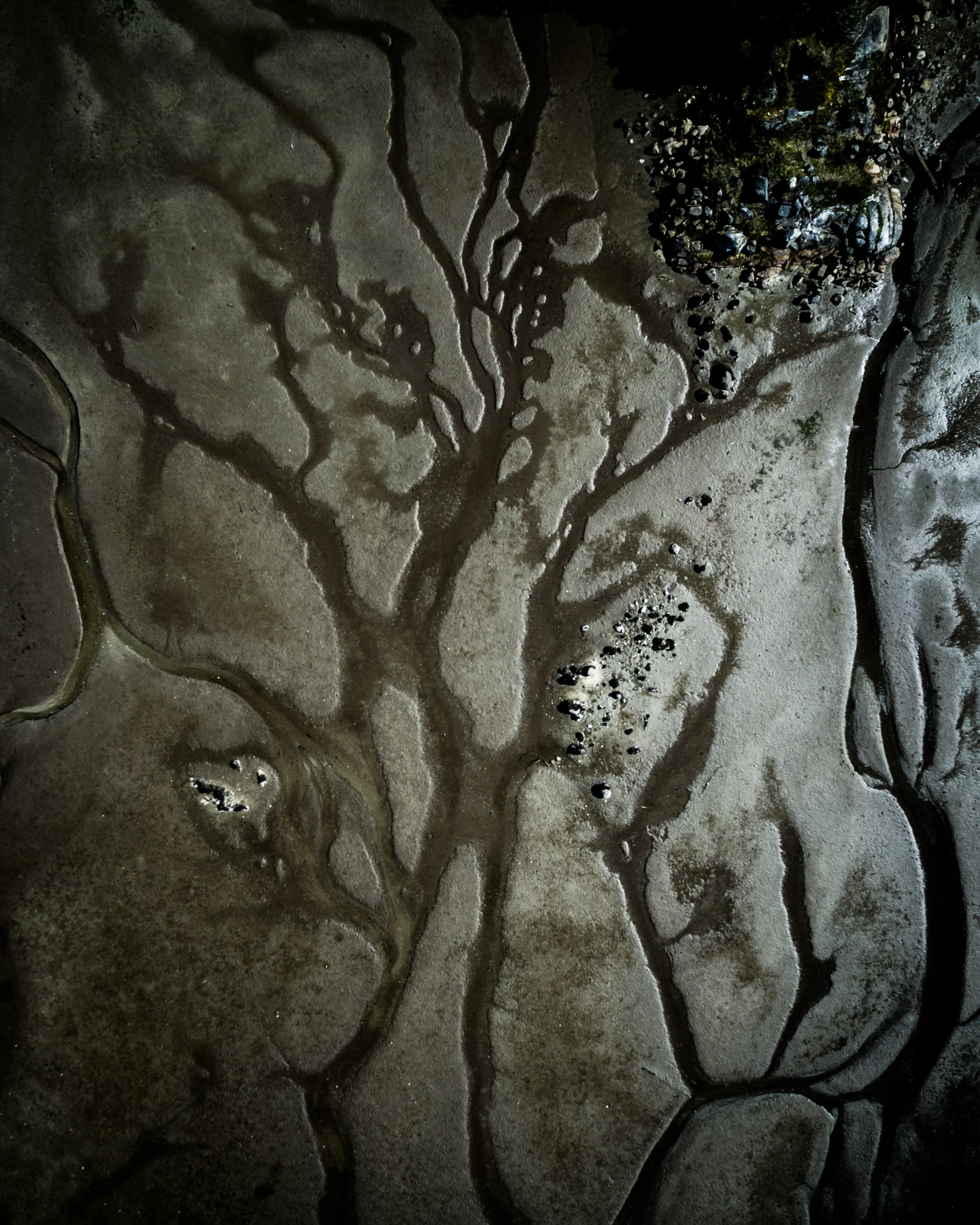 oyster bay patterns.jpg