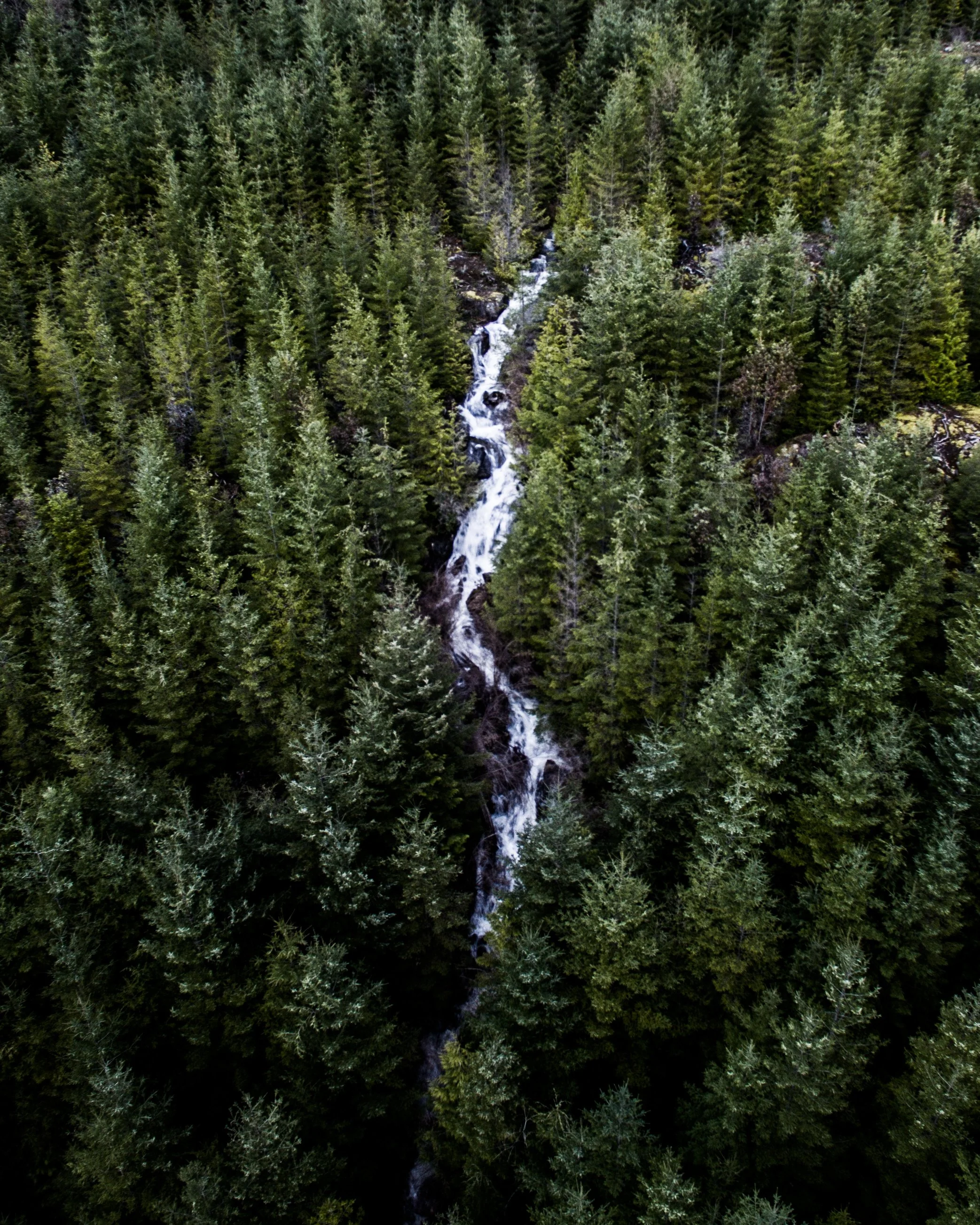 homesite creek angle.jpg