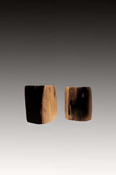 Petrified Wood Candle Holder, Indonesia