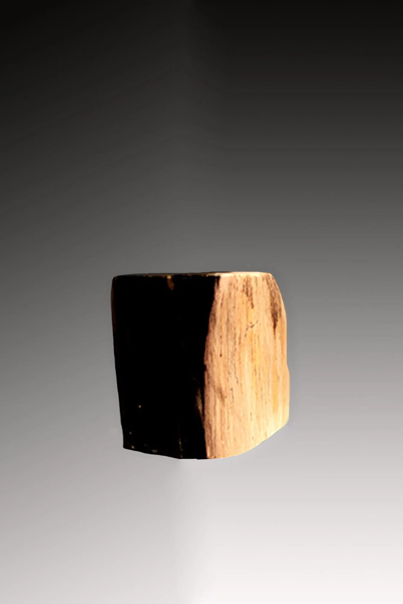Petrified Wood Candle Holder, Indonesia