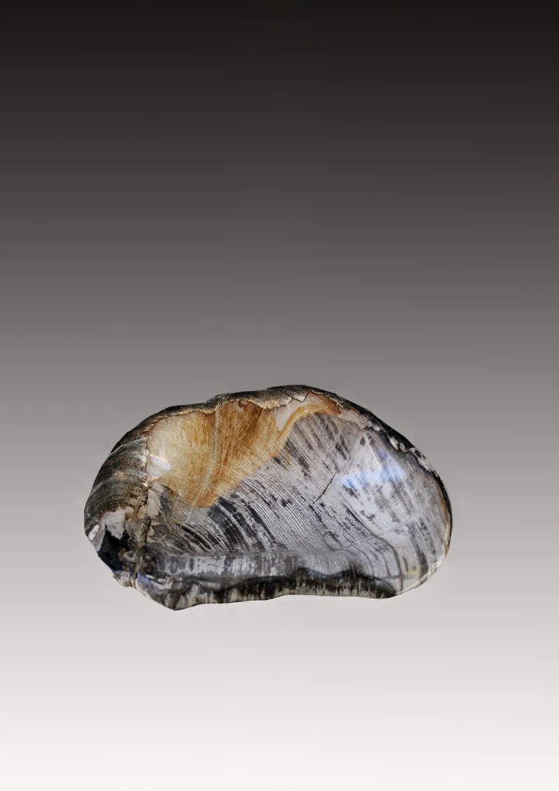 Petrified Wood Bowl