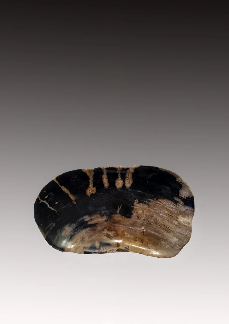 Petrified Wood Plate