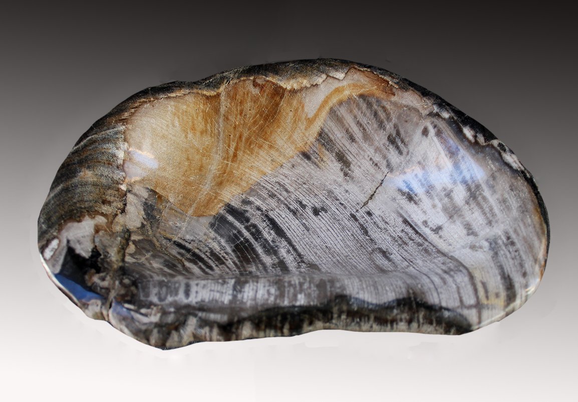 Petrified Wood Bowl
