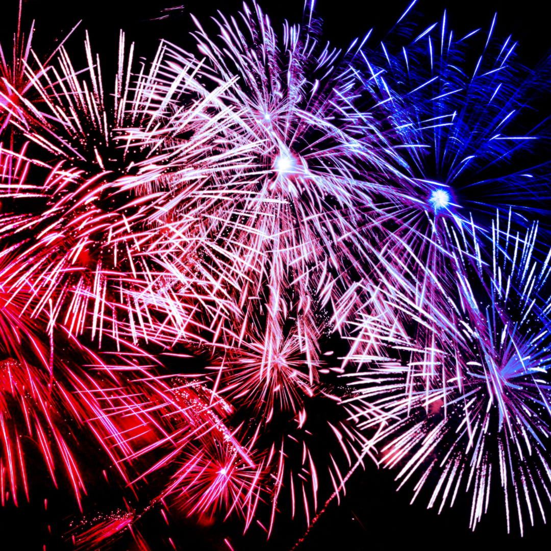Fireworks in the night sky