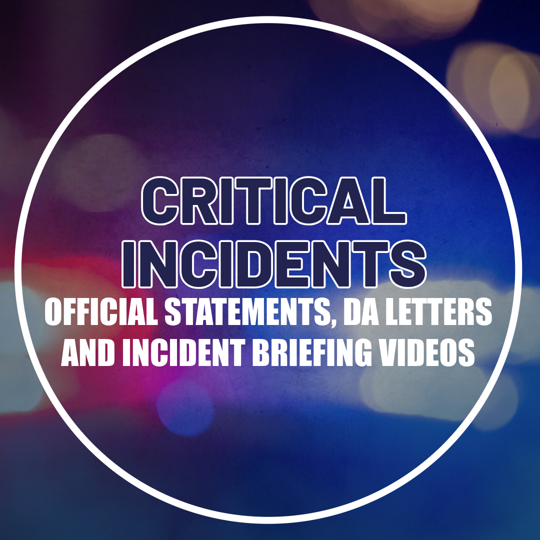 circle graphic for critical incidents