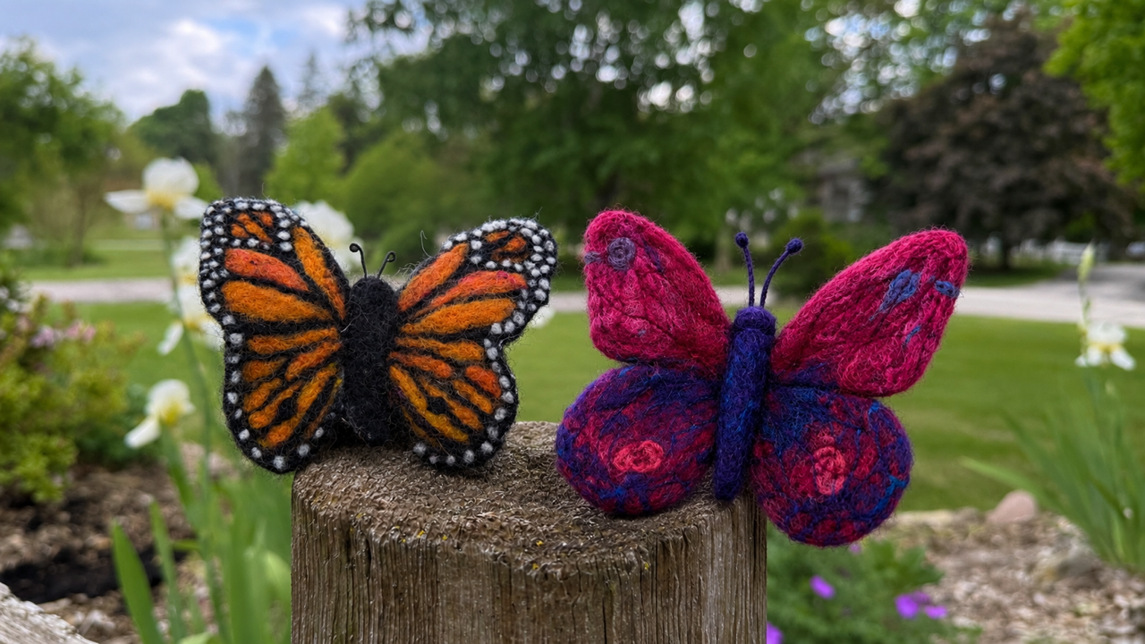 butterfly June.png