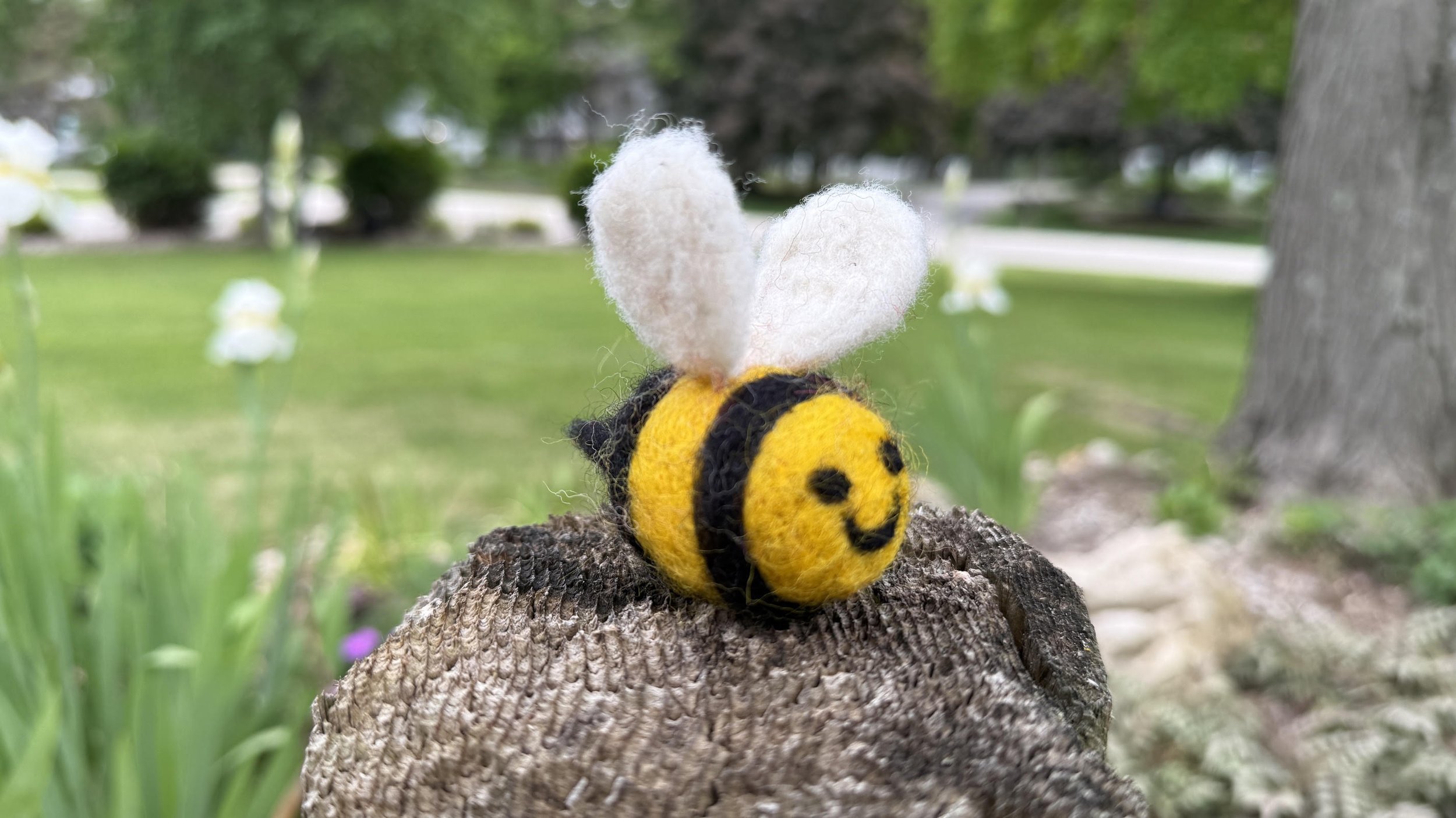 June needle felt.jpg