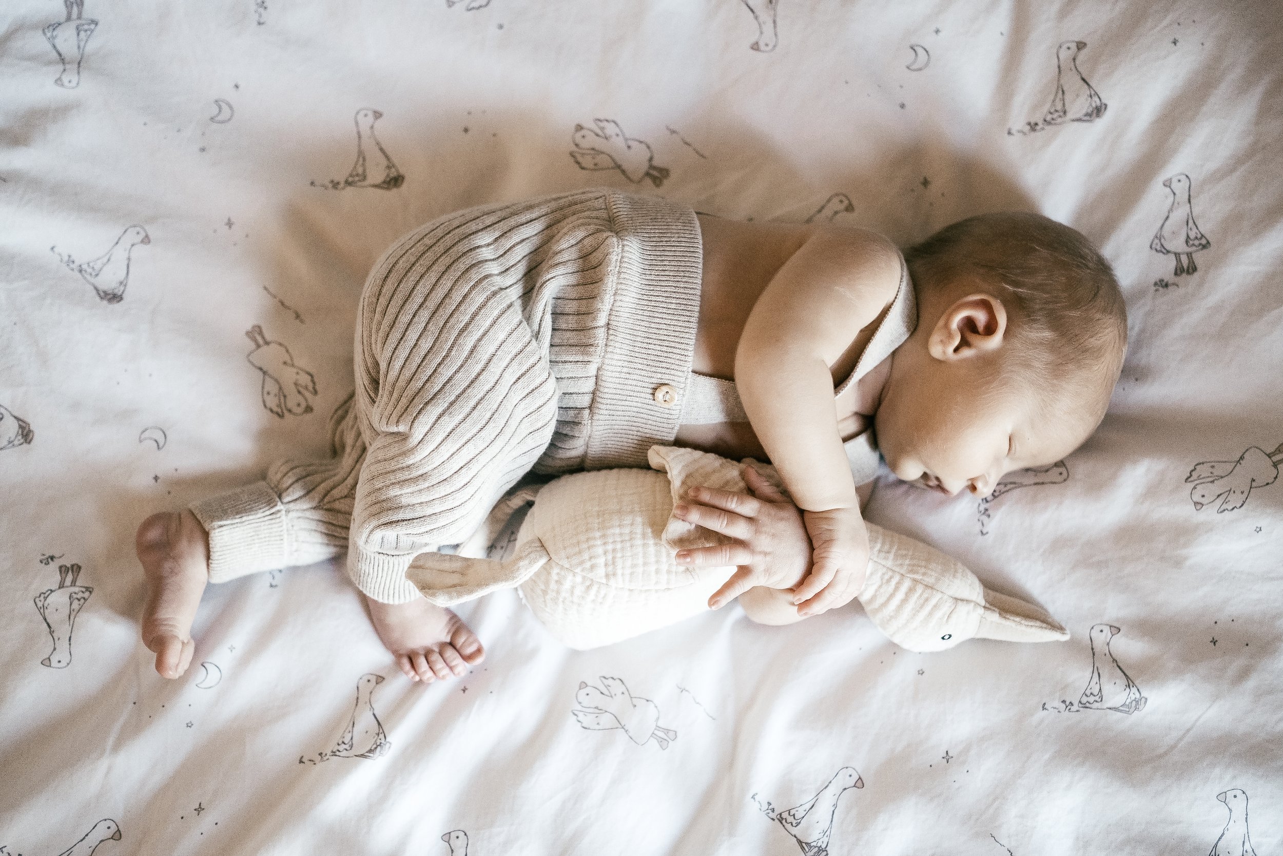 Bébé Lou - Nov.2024-15.jpg