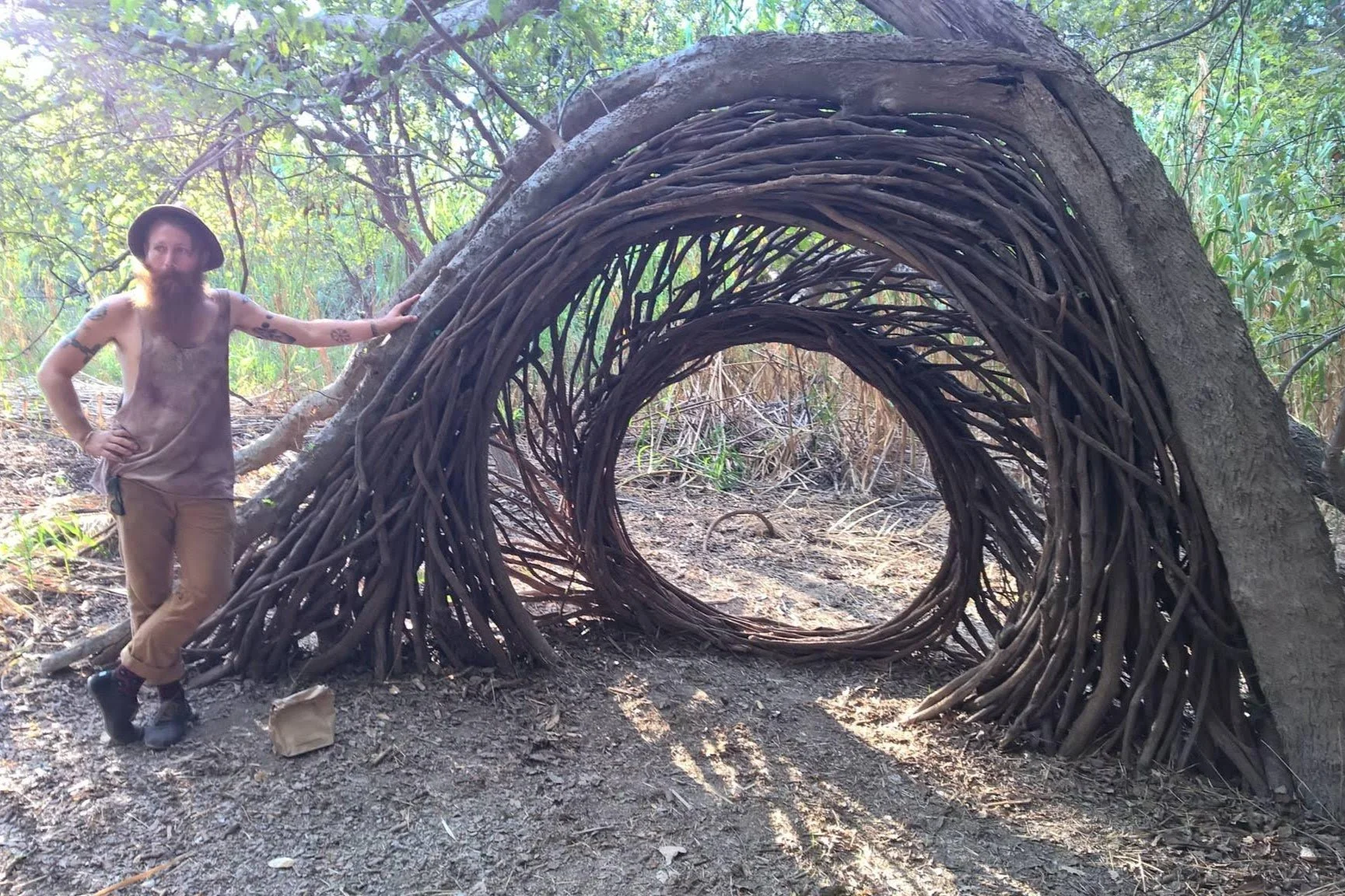 Edgelands portal / mustang grapevine and fallen hackberry tree / September 2015 / Austin, Texas