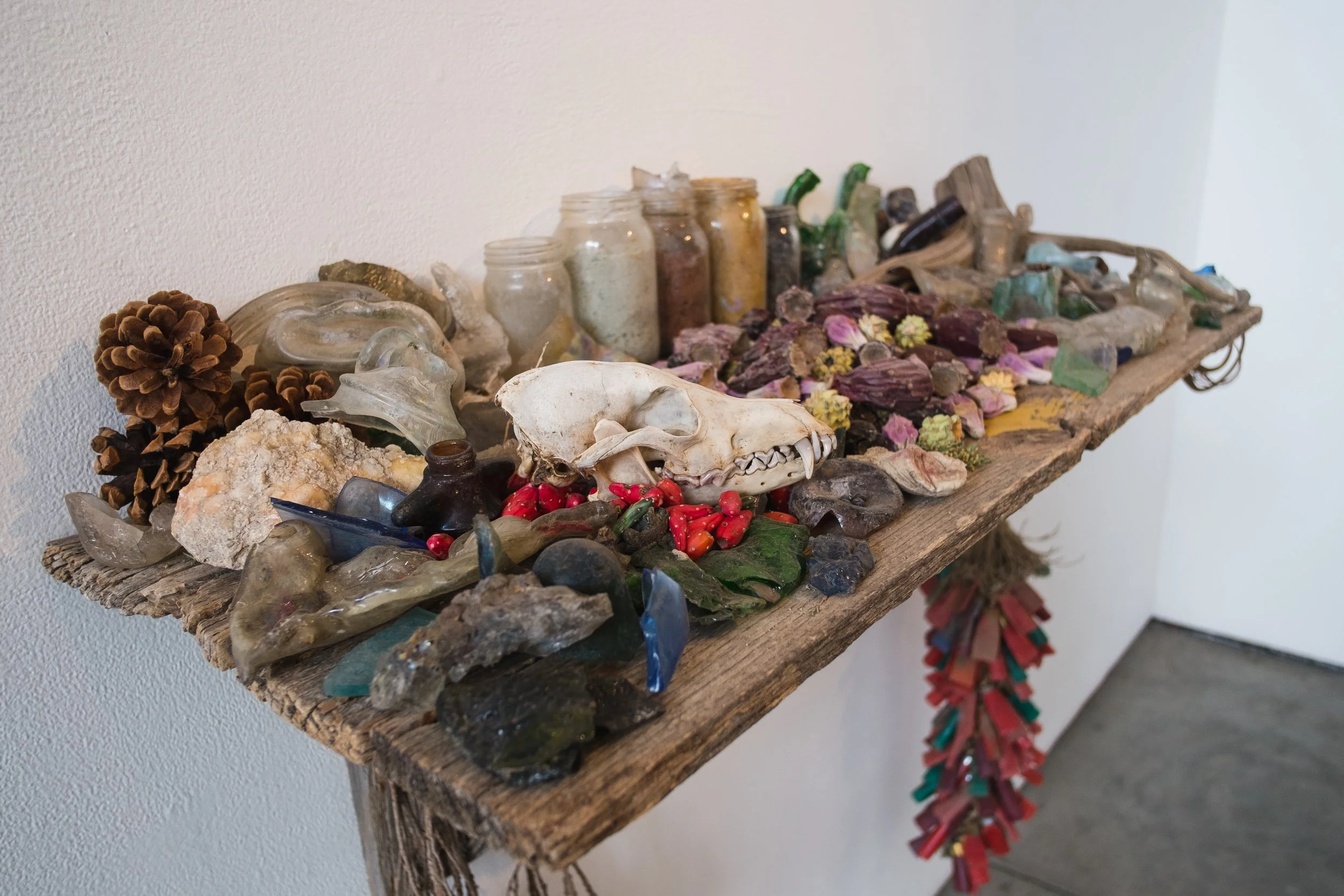 Writha / Collaborating artist with Billy Joe Miller / February 2016 / 516 Arts, Albuquerque, New Mexico