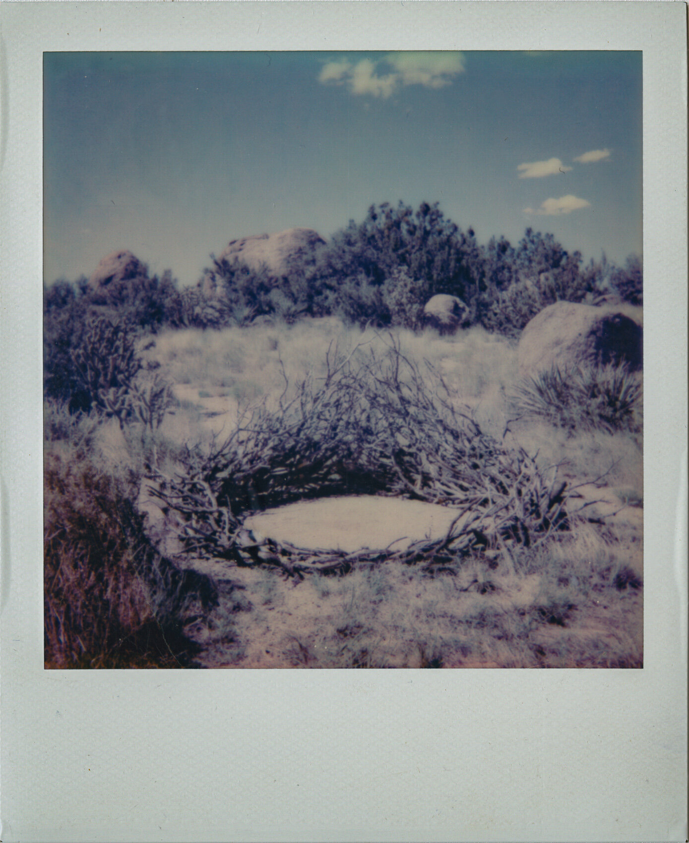 polaroid film