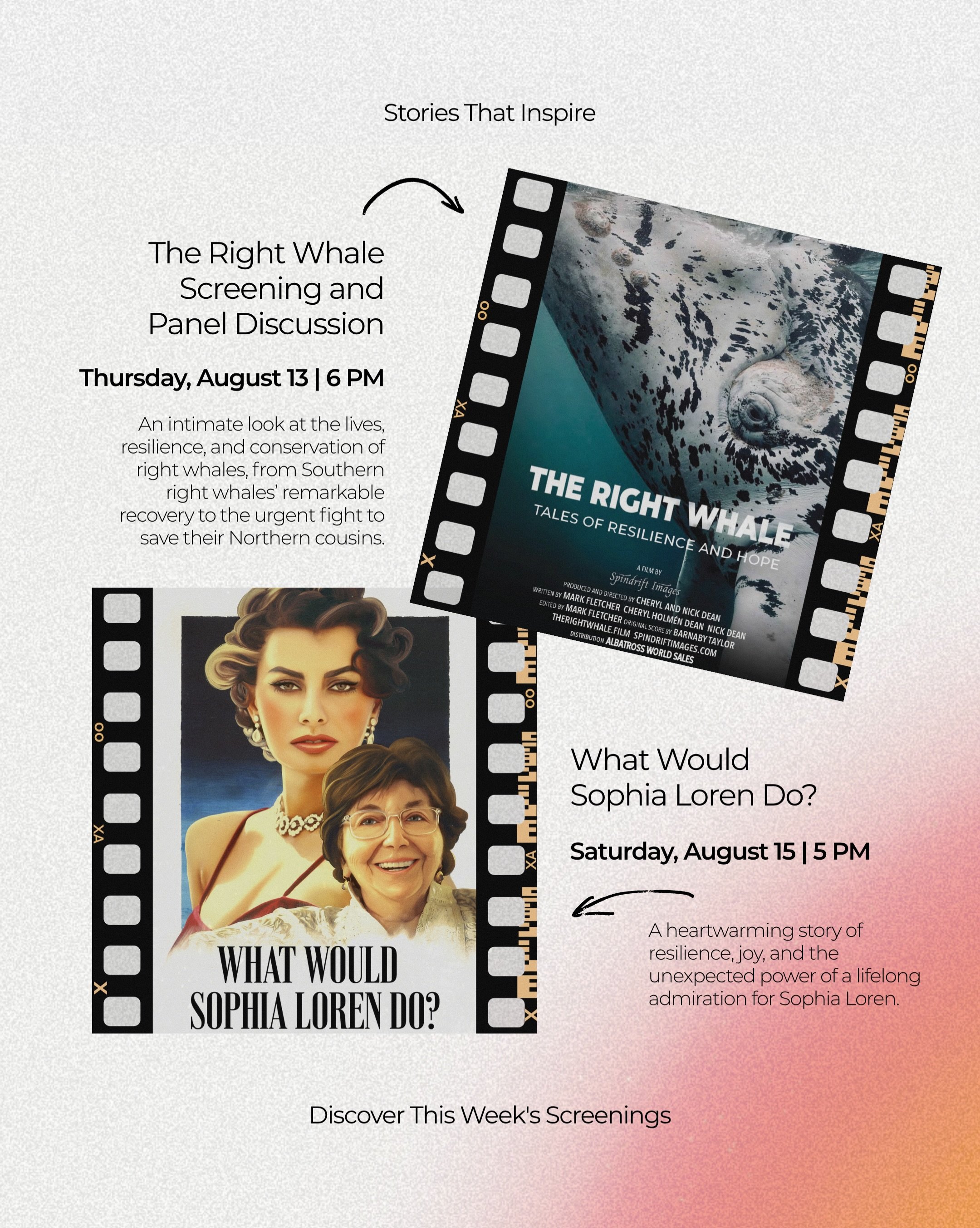 Two films, two powerful stories, coming to Southampton Arts Center this week.

🐋 Thursday, August 13 | 6 PM
The Right Whale: Tales of Resilience and Hope explores the remarkable lives of right whales and the urgent work to protect them, followed by 