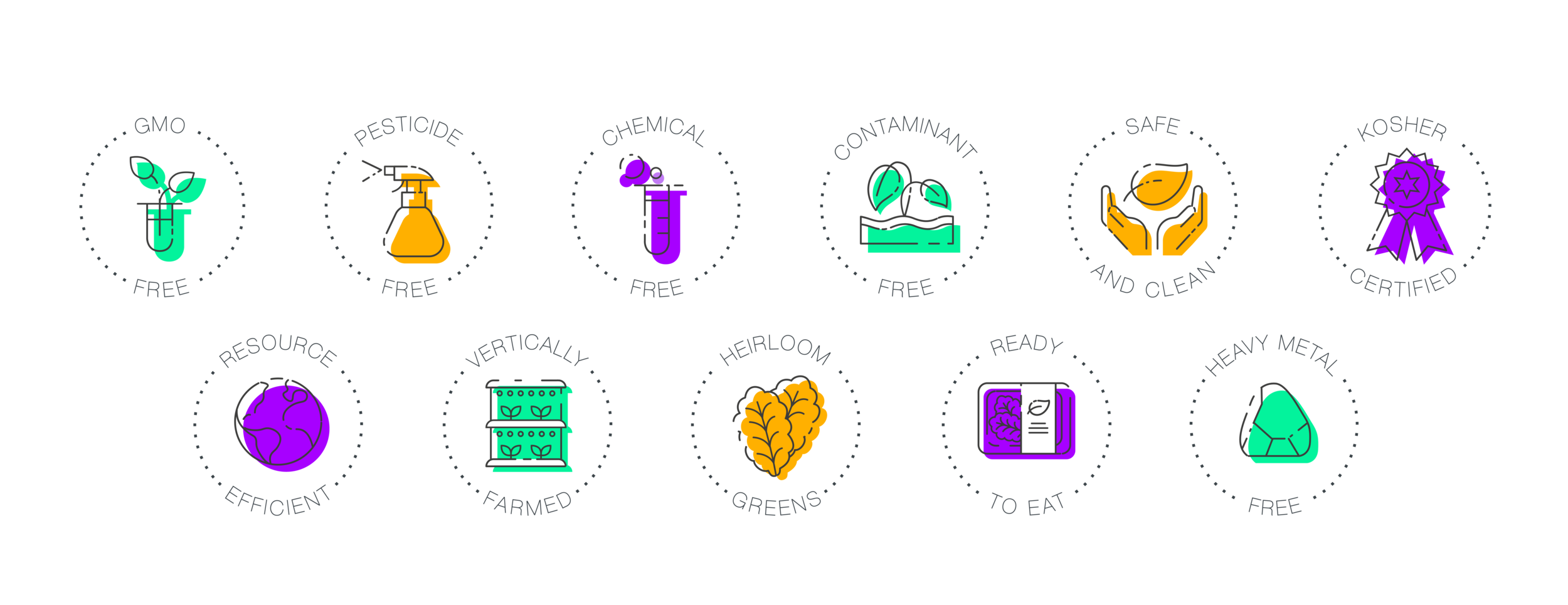 FBF_graphics_icons v3-02.png